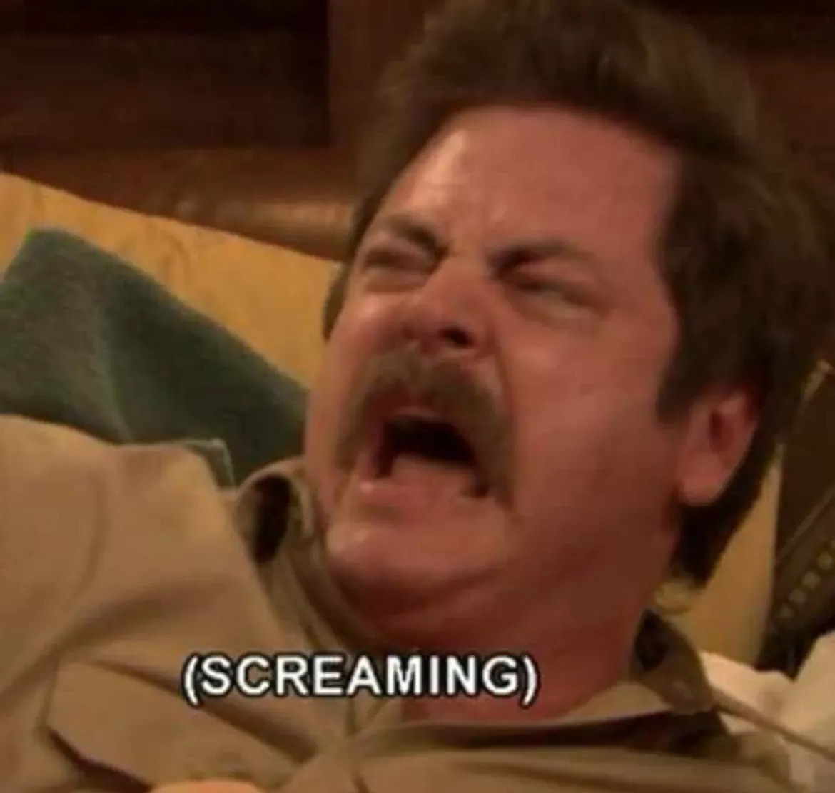 Ron Swanson is yelling with the caption (SCREAMING) displayed at the bottom.
