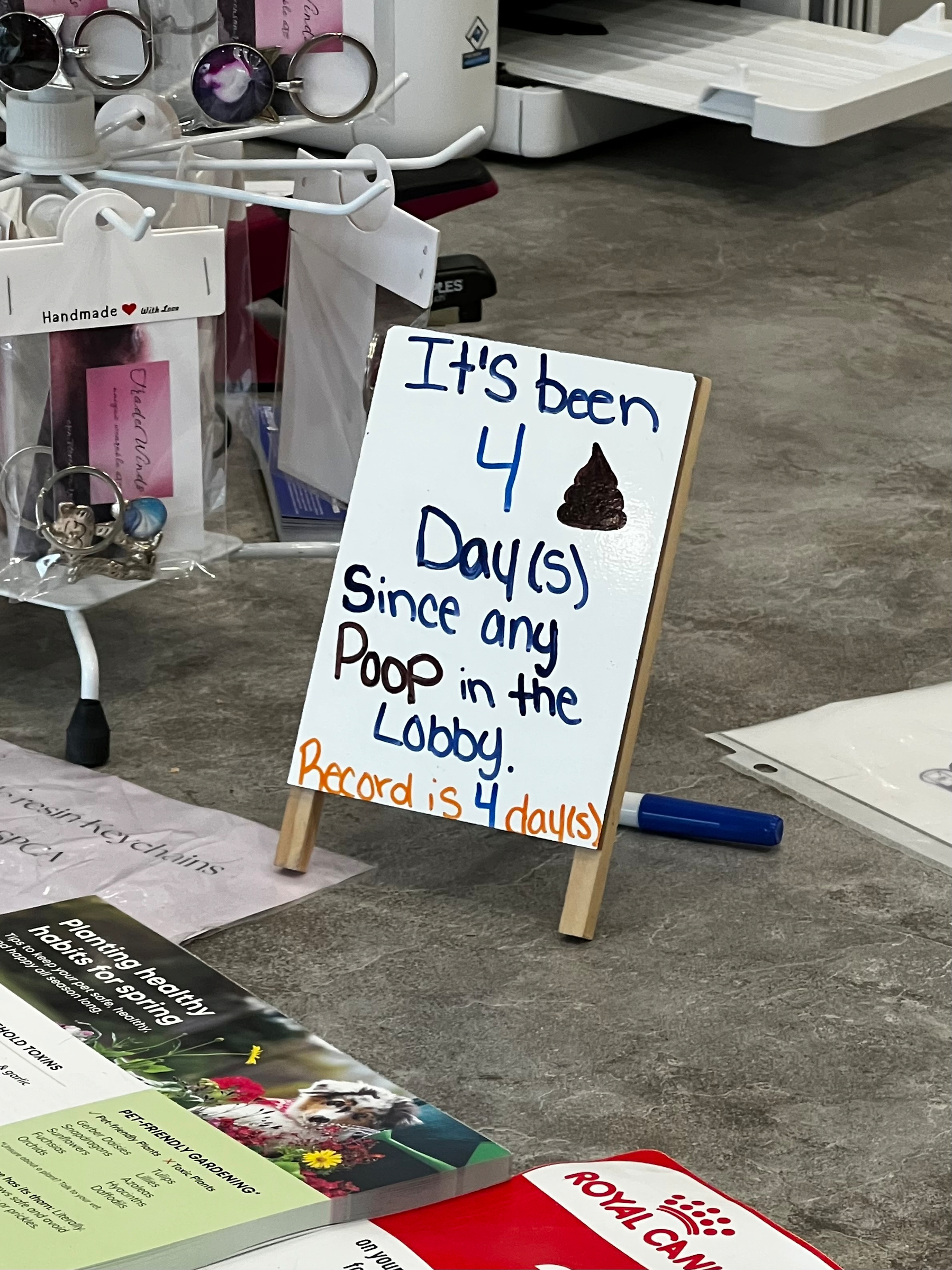 A small sign humorously tracks the number of days since any dog mishap in the lobby, noting a record of four days.