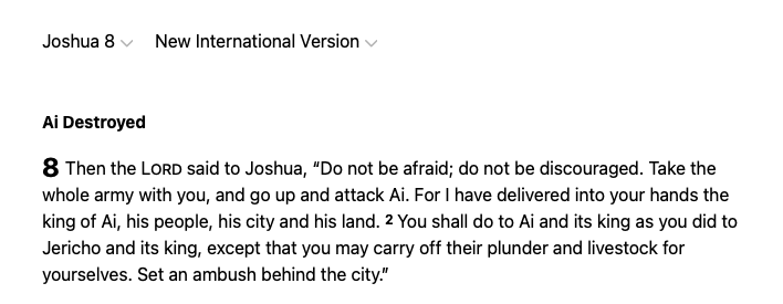 A passage from Joshua 8 in the New International Version of the Bible describes God's instructions to Joshua for attacking the city of Ai.