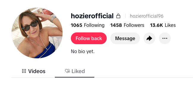 A TikTok profile displays the username hozierofficial with follow, message, and other options, but lacks a bio. And clearly is a woman who doesn’t look anything like the real Hozier.