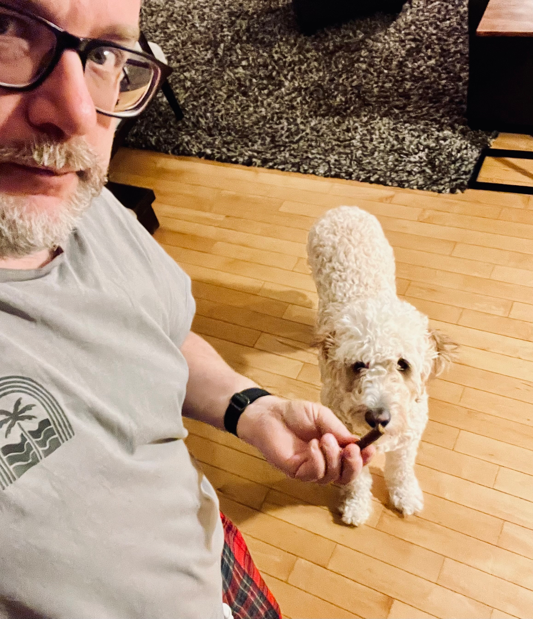 A person is sitting on the floor taking a selfie while a fluffy dog stands nearby, looking up.