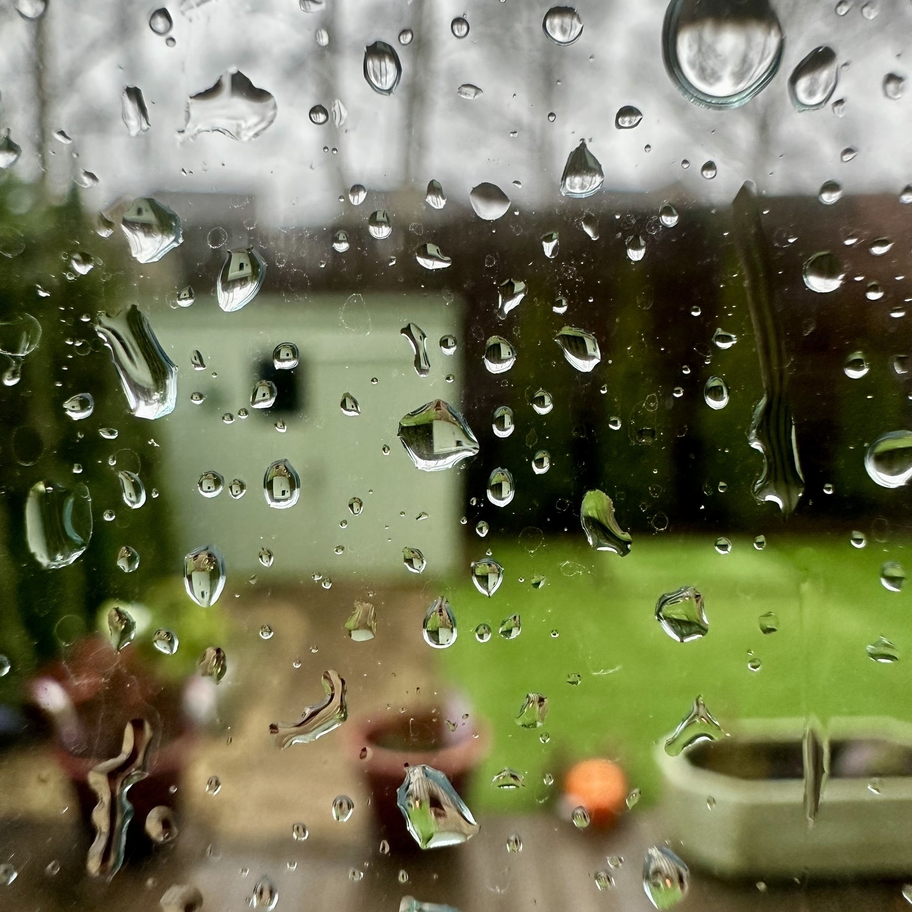Raindrops on a window pane looking out to a garden.