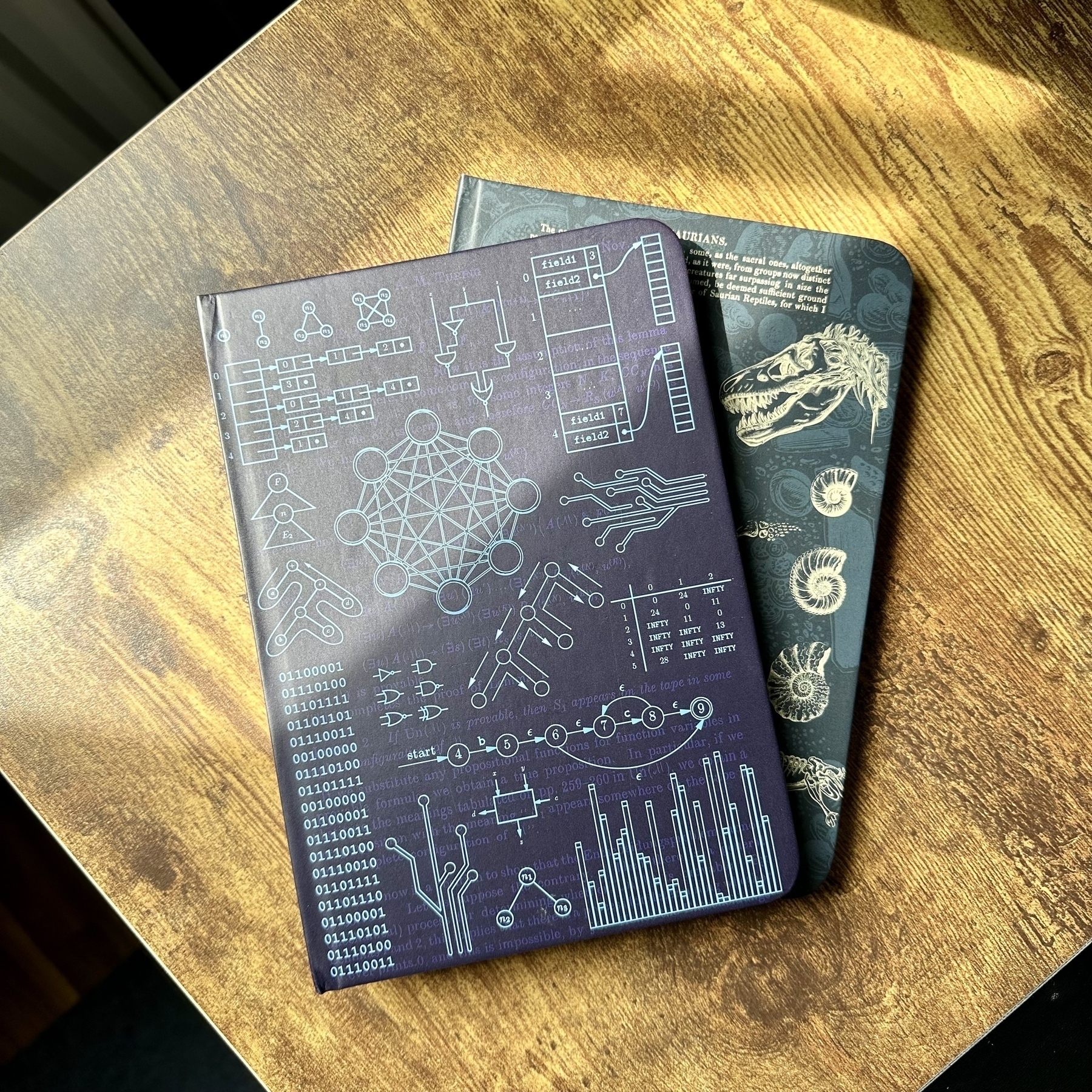 Two notebooks on a desk