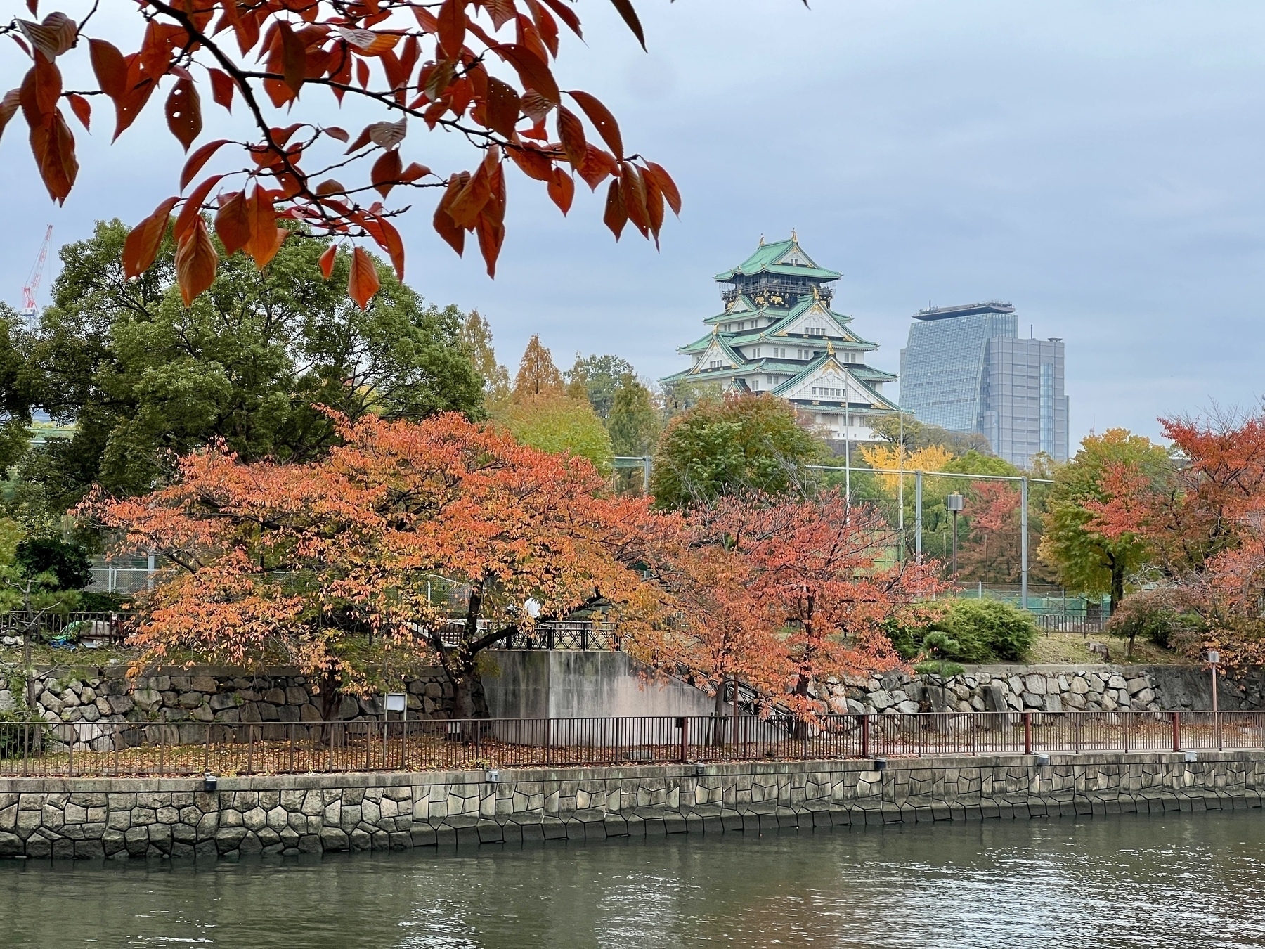 Osaka Castle in the middle distance beyond the moat. There are many turned autumn leaves in red and orange