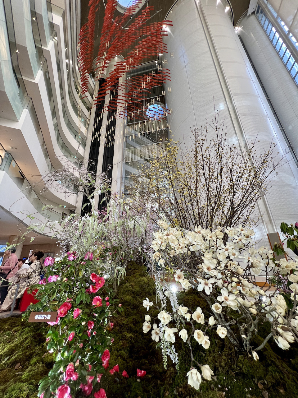 Flowering trees inside of a hotel lobby. A low shot showing the high cieling of the hotel