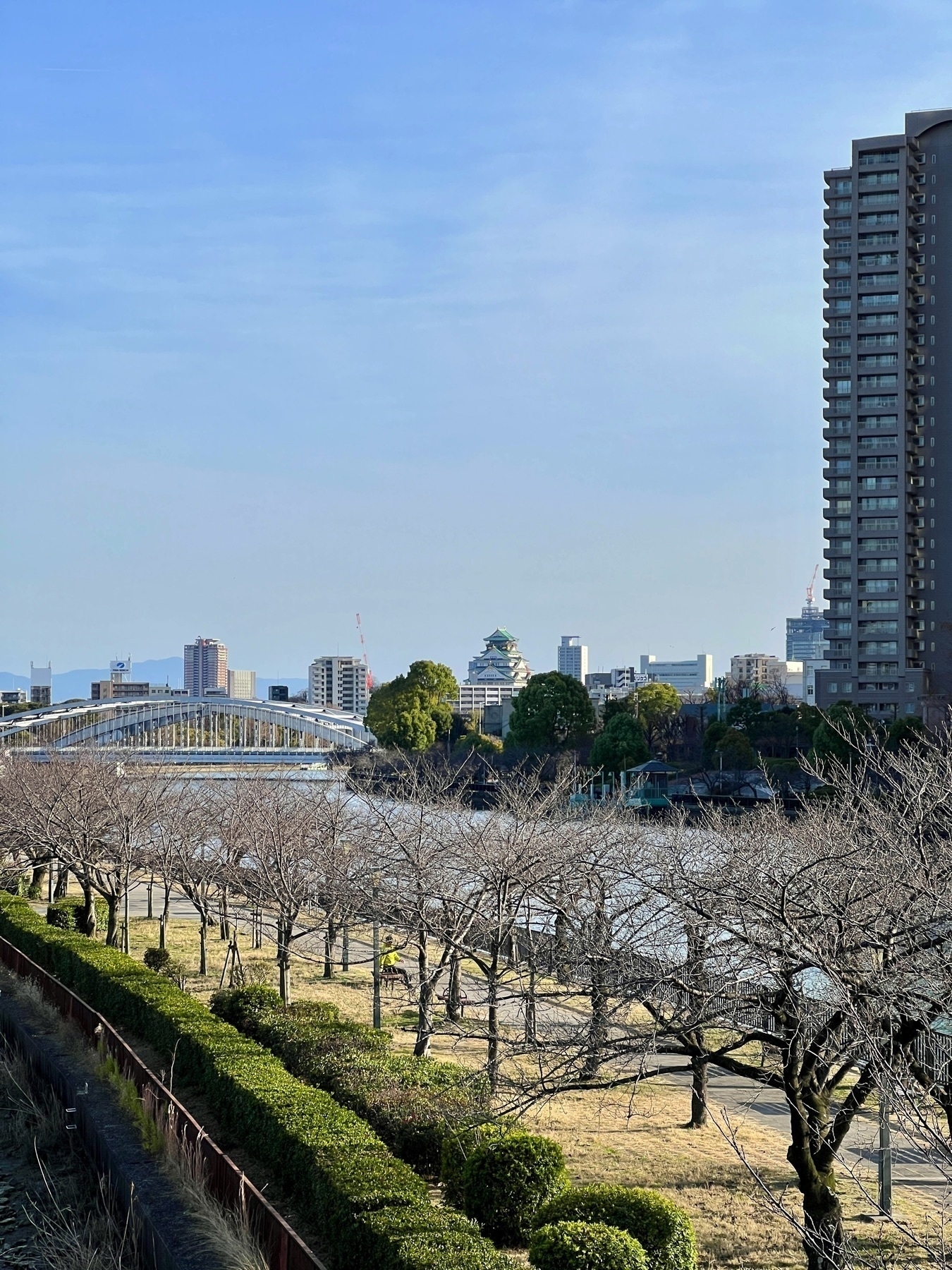 Photo from a bridge going over a river. Below are trees lining the river bank. They are bare with no leaves or blossoms…  yet. In the far distance is Osaka Castle