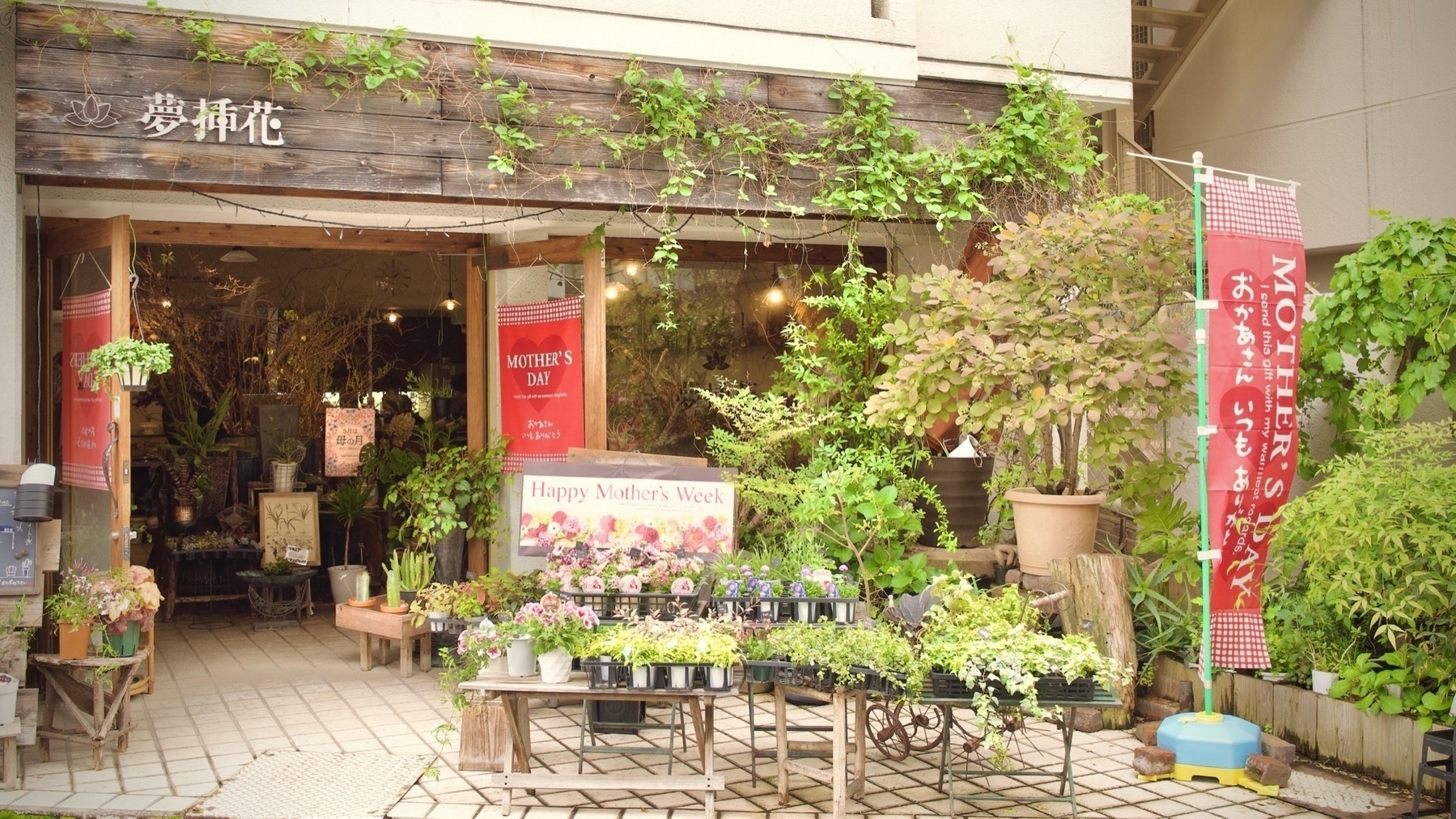 a flower shop with all sorts of green vines and leaves, contrasting with large red signs for Mother's Day