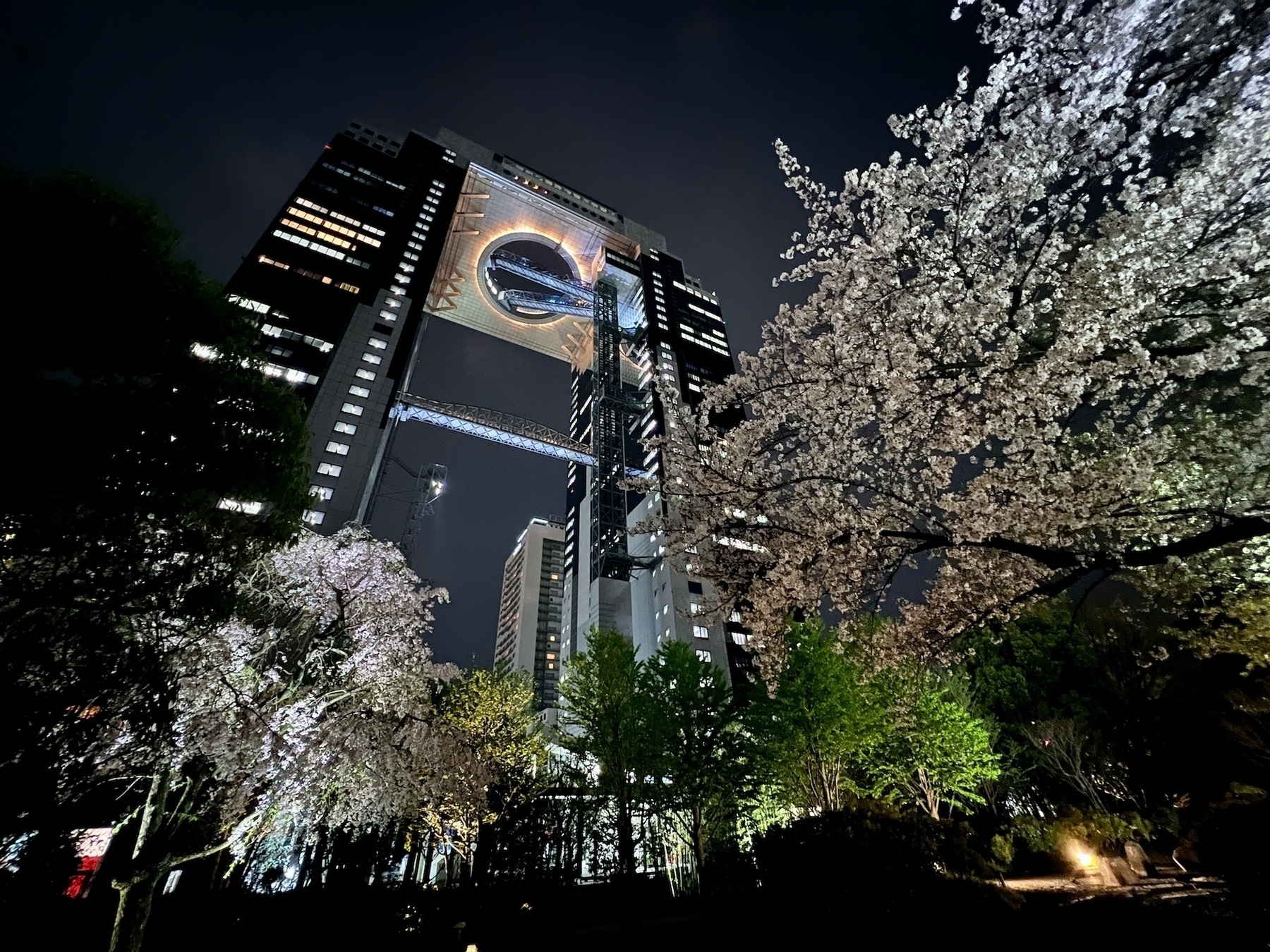 Wide angle of the Umeda Sky Building from the ground. The building is actually two, capped off with a roof with a giant hole in it. Two escalators carry people up and down through the hole to the top floors. Two cherry blossom trees in the foreground.