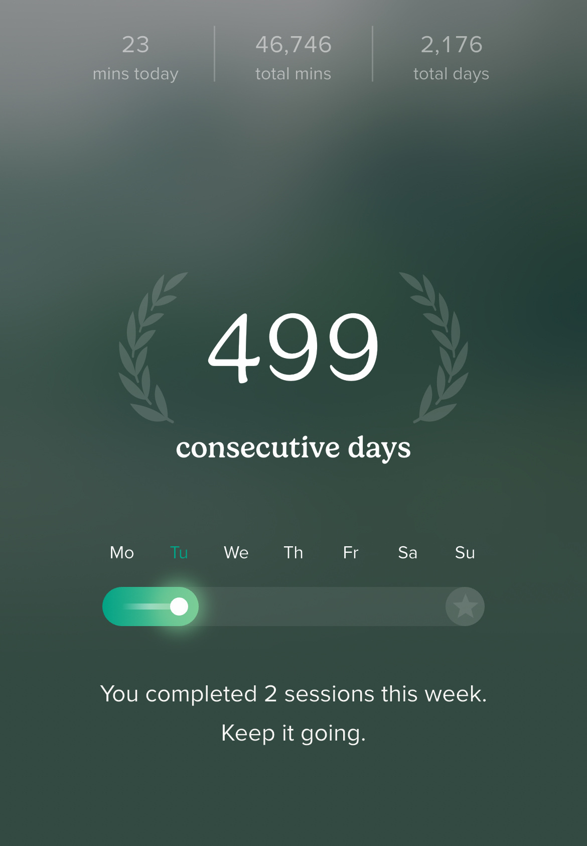 Screen capture from insight timer showing 499 consecutive days of mediation