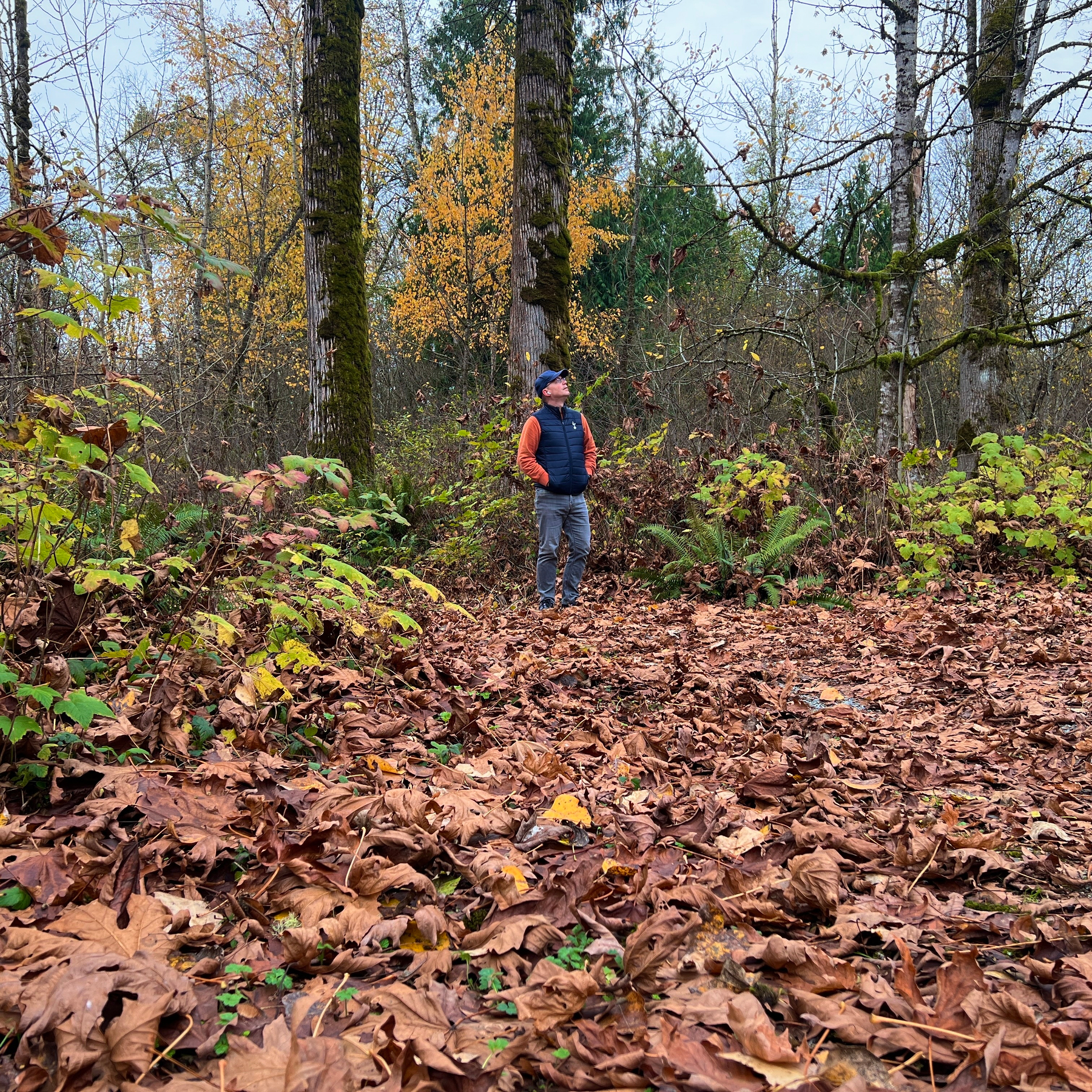 Chad stands in a forest path surrounded by fallen leaves, looking up at the tree tops