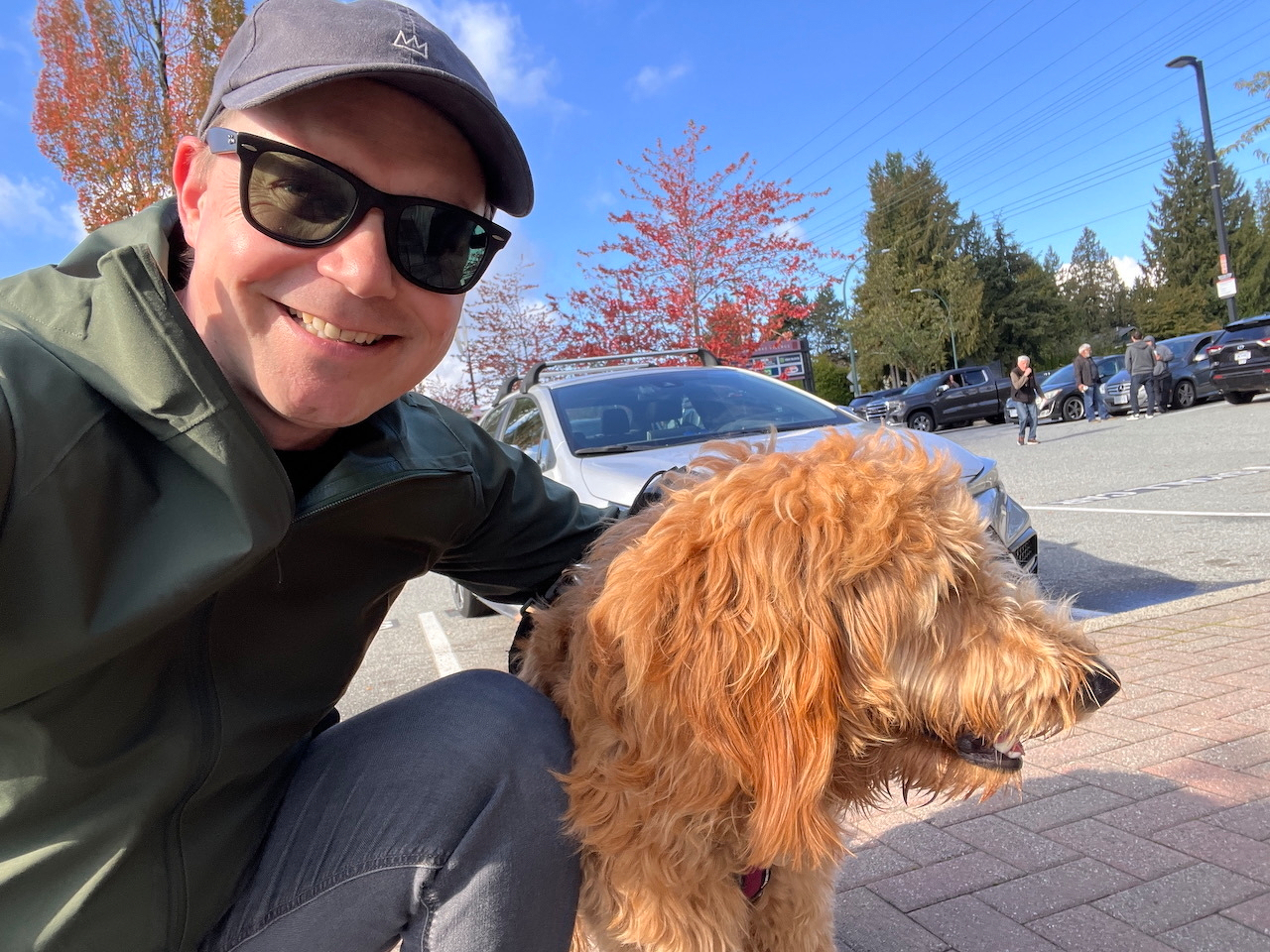 chad seflie with a big retreiver poodle cross