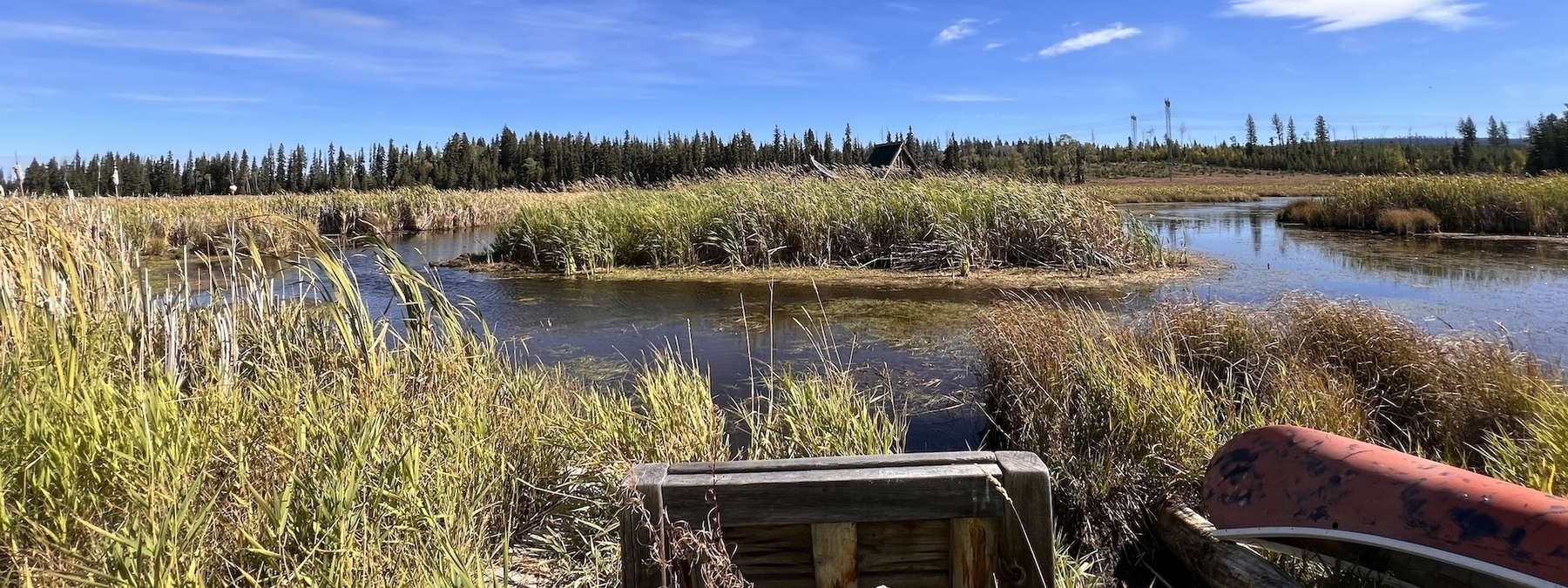 A wooden seat at the edge of a marsh on a bright fall day