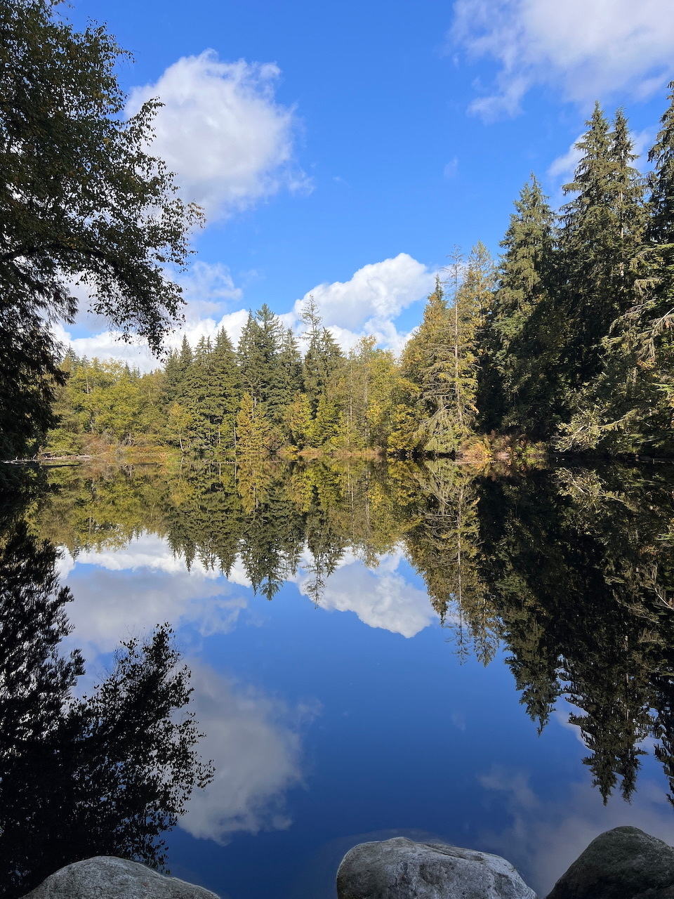 a still lake reflects the trees, sky, and clouds like a mirror