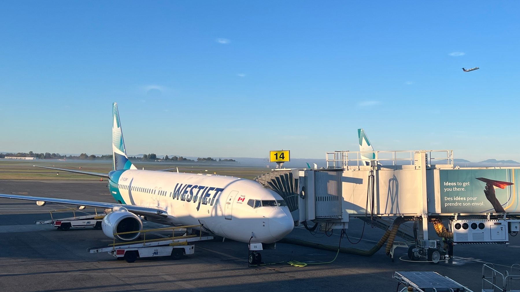 A WestJet airplane is parked at a gate at an airport, connected to the jet bridge, with a plane visible in the sky in the background.