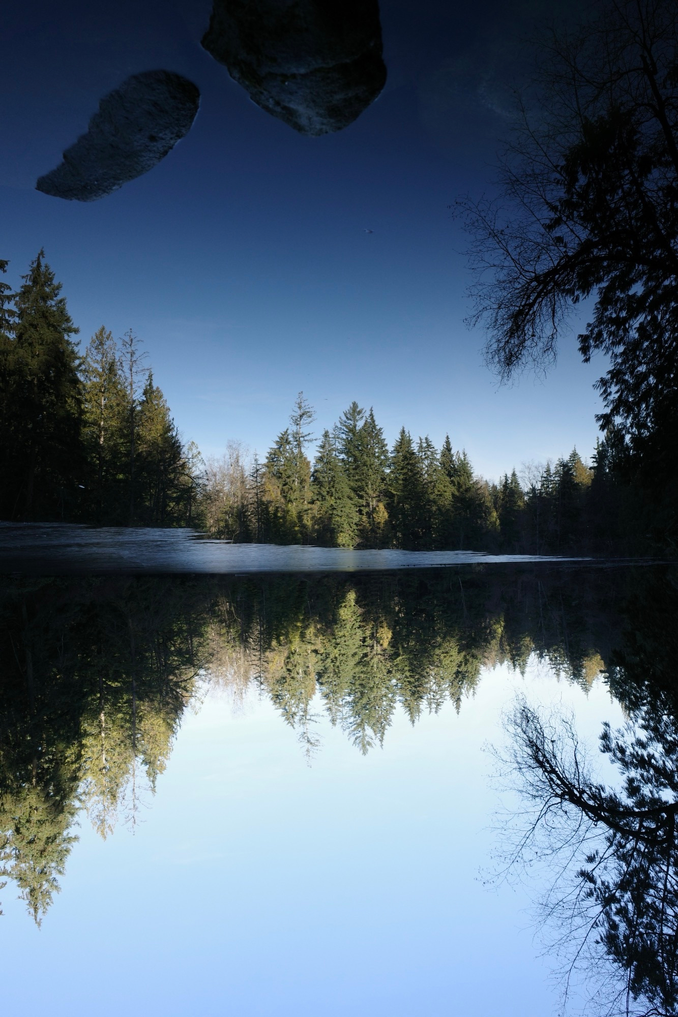 a perfectly still pond reflects trees from across the way and rocks … in the sky? Yes the image is inverted on purpose!