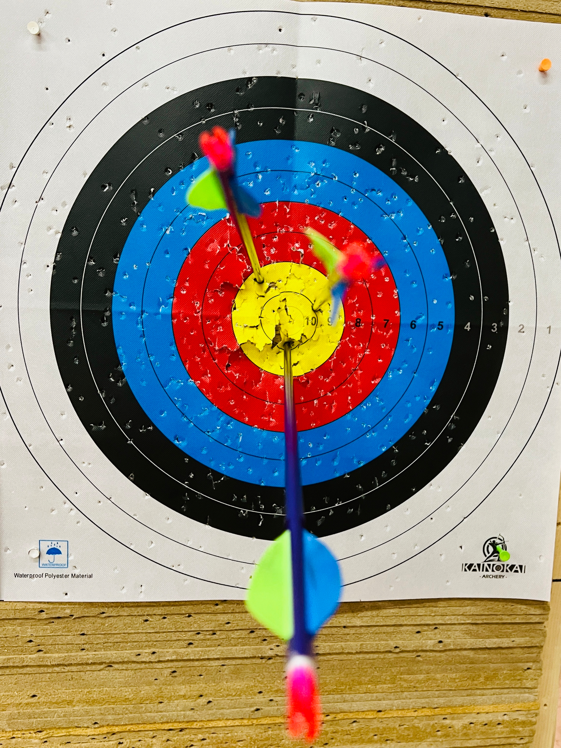 3 arrows in the gold scoring a 29