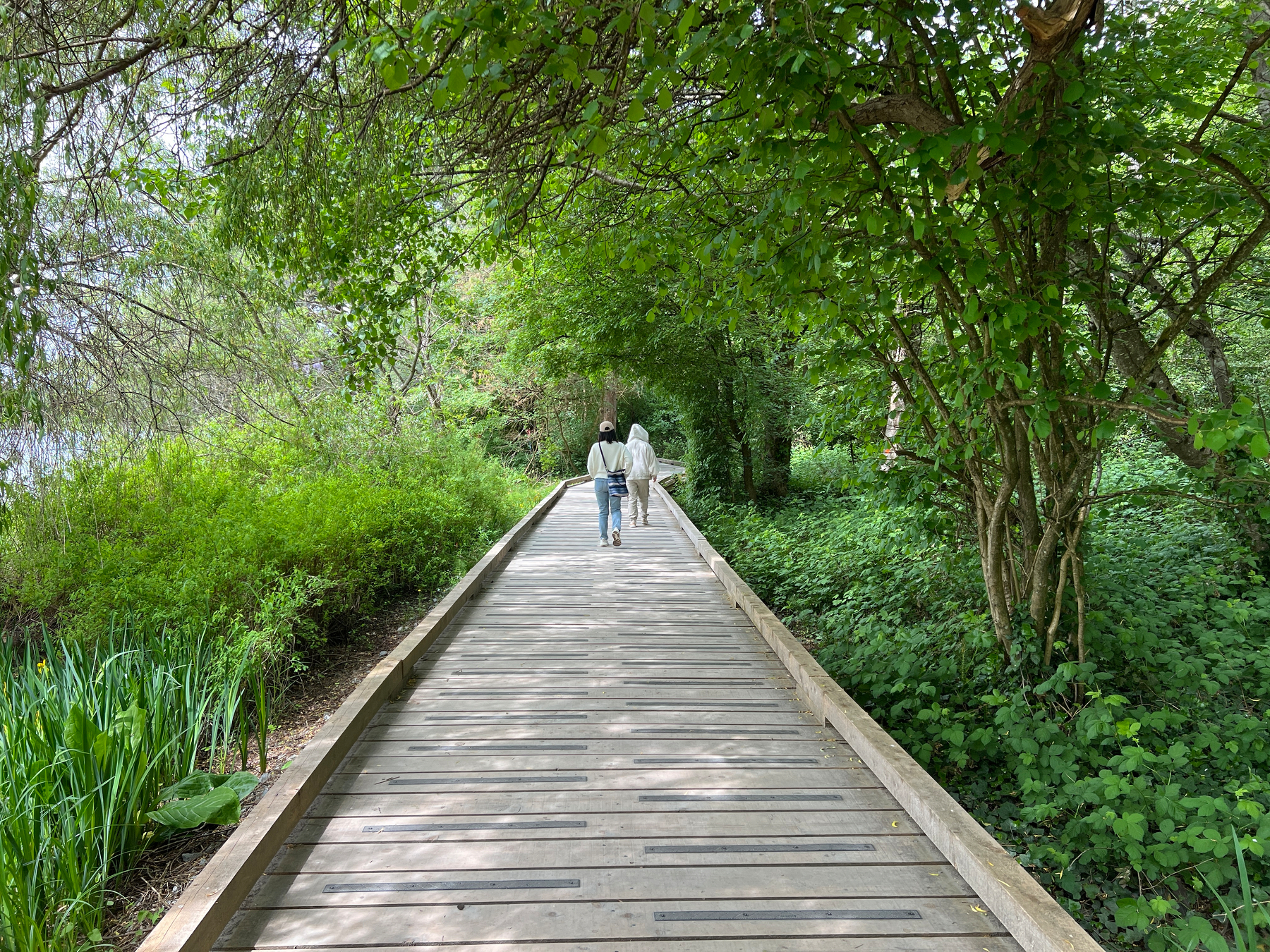 Wife and daughter on the boardwalk beside the lake surrounded by trees and grasses