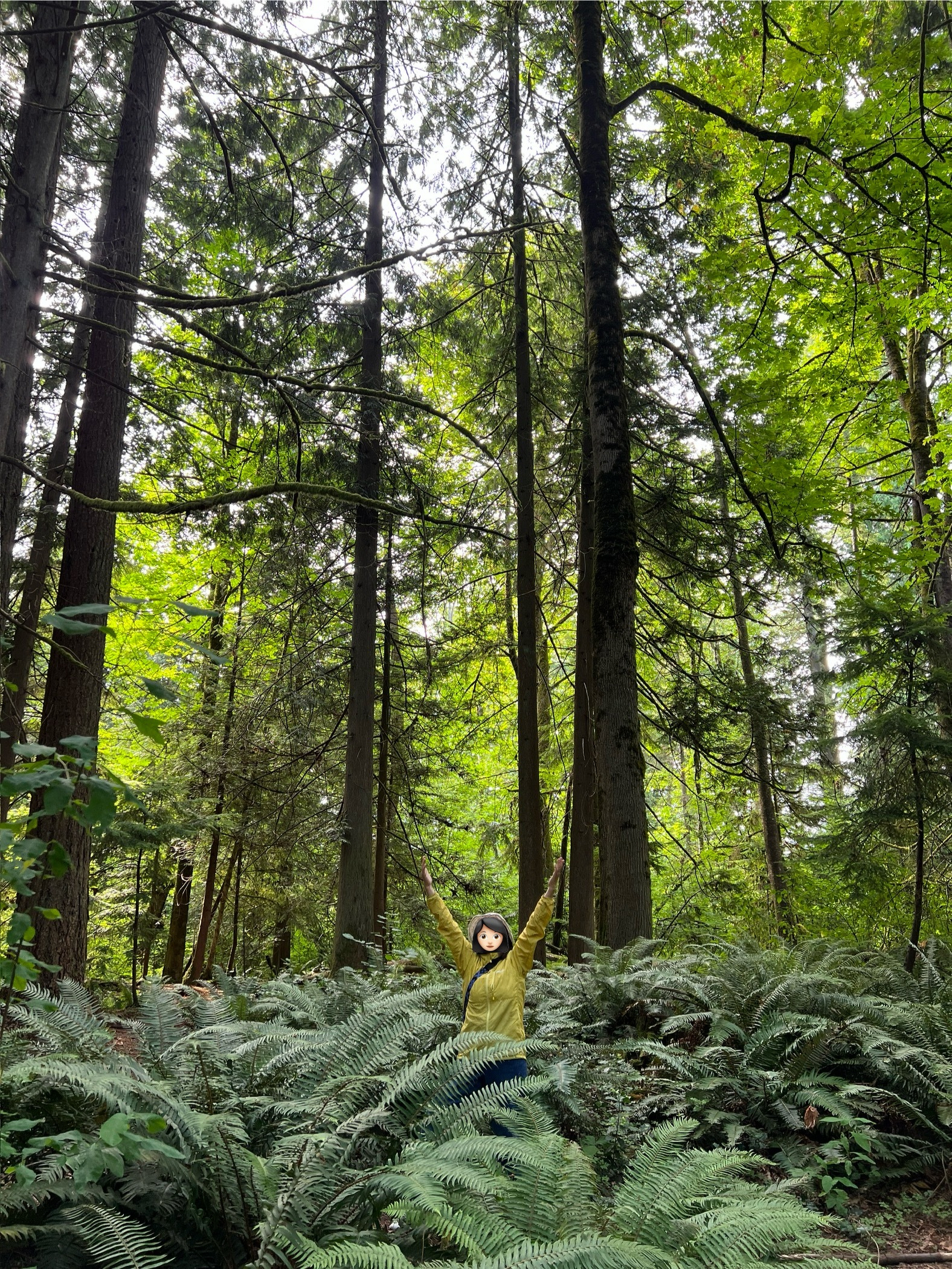 Lady Chad enjoys the forest vibes in a stand of ferns