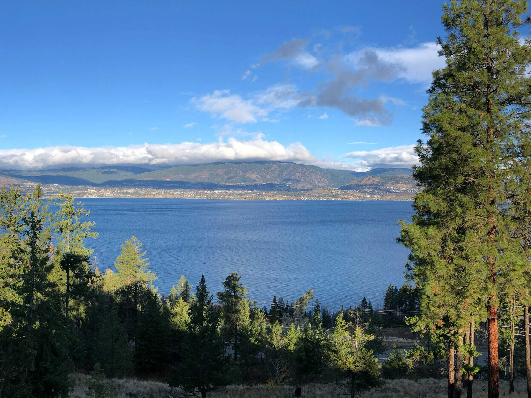 Same scene with the same trees framing the foreground but with a rich blue lake and cloud caped mountains on the other side…  a perfectly clear summer day