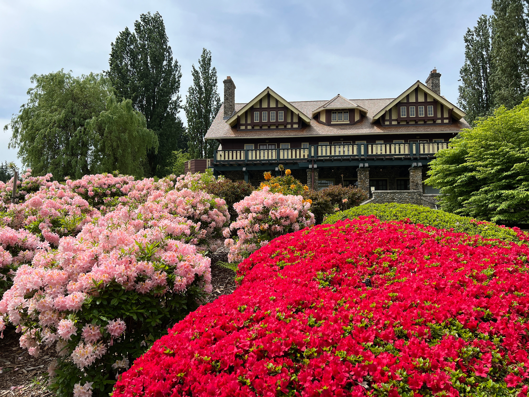 An early 20th C mansion with tons of flowers in the foreground