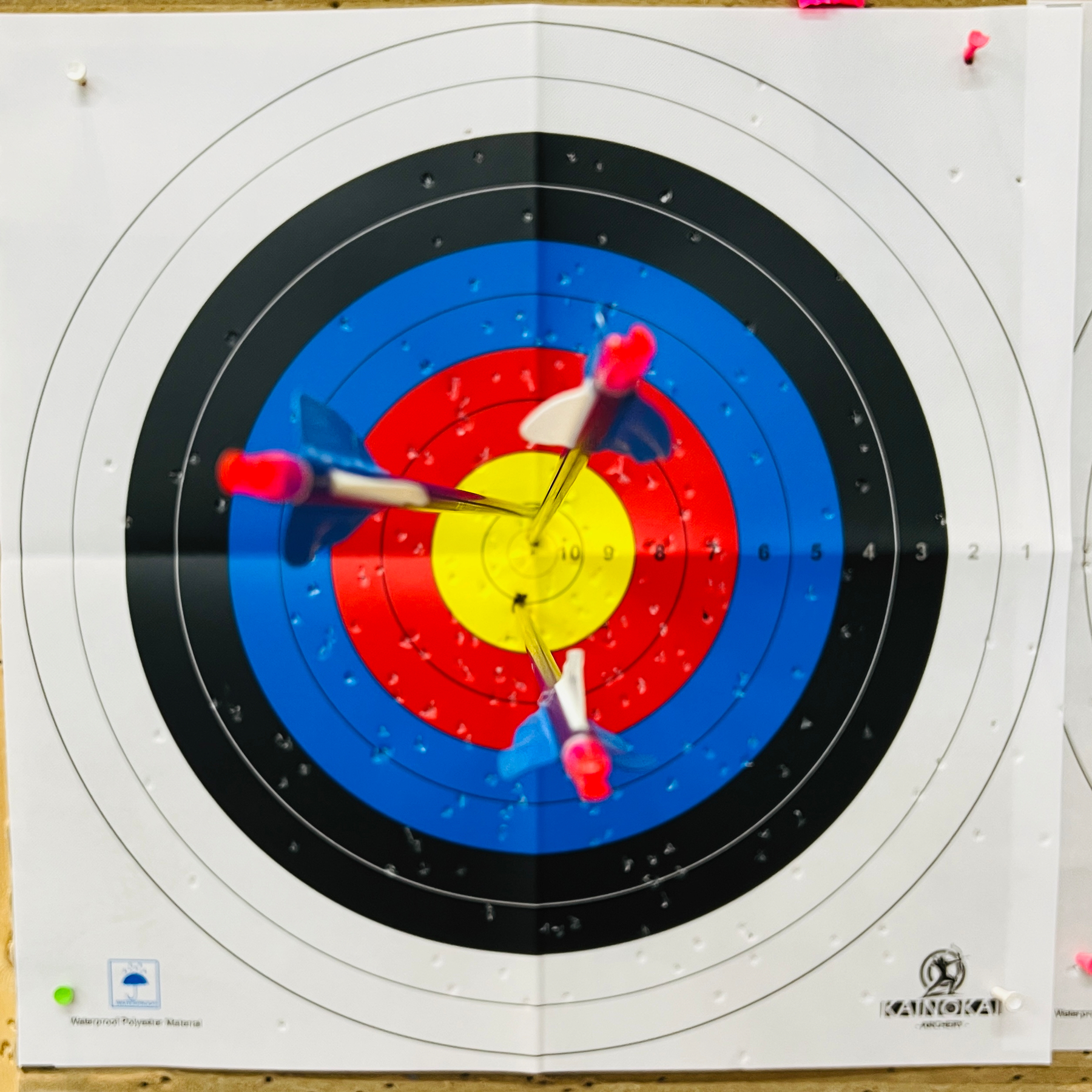 Three arrow are closely grouped near the center of an archery target. 30 points. 