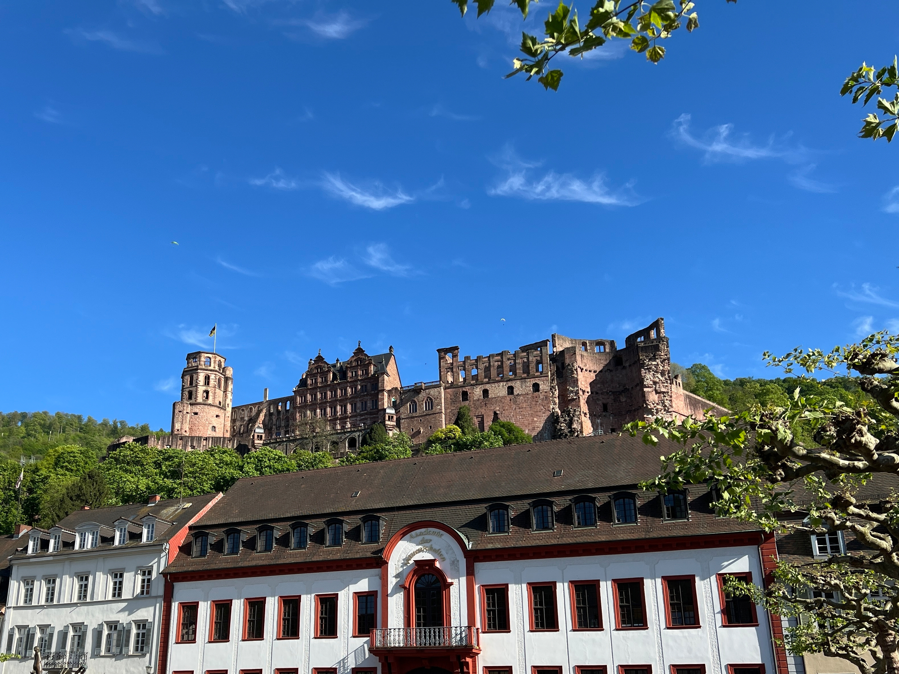 Heidelberg Castle on its hill above the lower town
