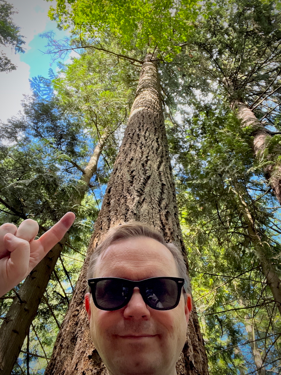 chad points at the tree in an "ussie"