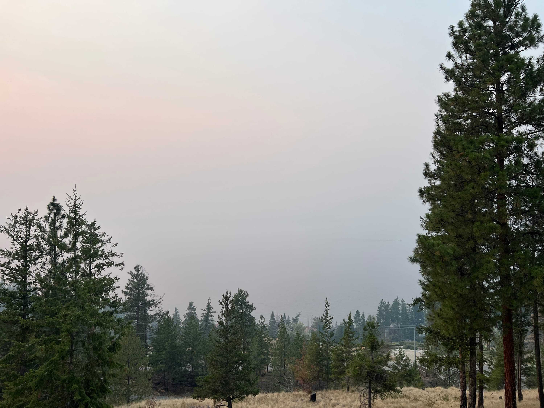 Some trees in the foreground frame a dull grey scene where there is basically nothing visible for wildfire smoke