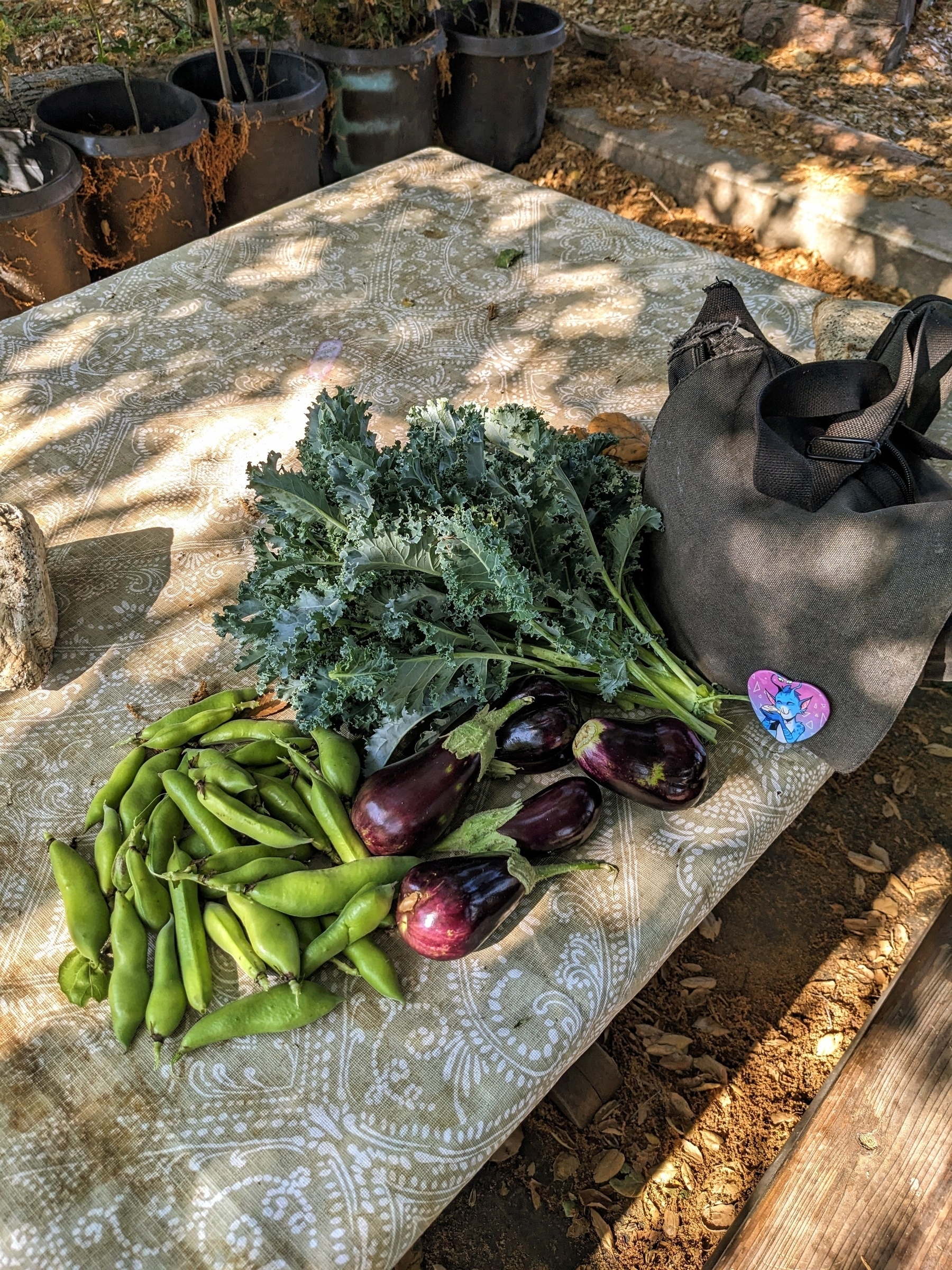A photo of a picnic table with a beige and white table cloth on it. The table cloth is dirty from tree debris. On the table sits a pile of fava beans next to five small globe-type eggplants and a mound of kale. A small black canvas messenger style bag sits nearby. Shadows of the oak trees above cover the entire scene.