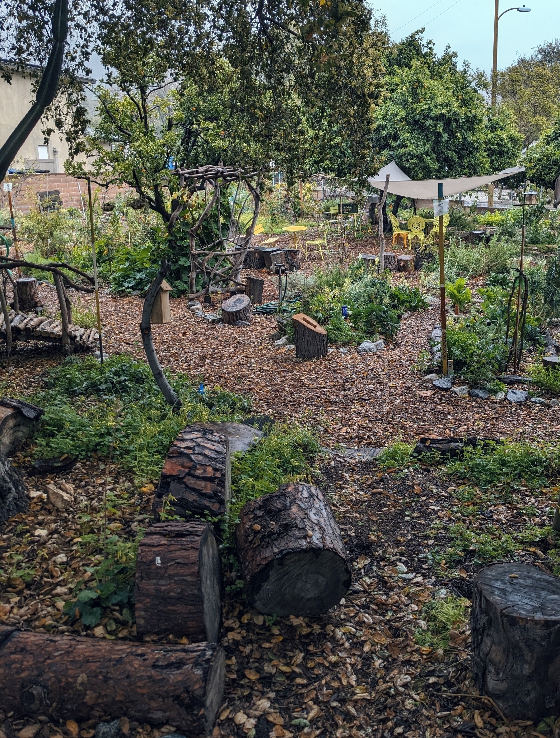 A community garden in the rain. 