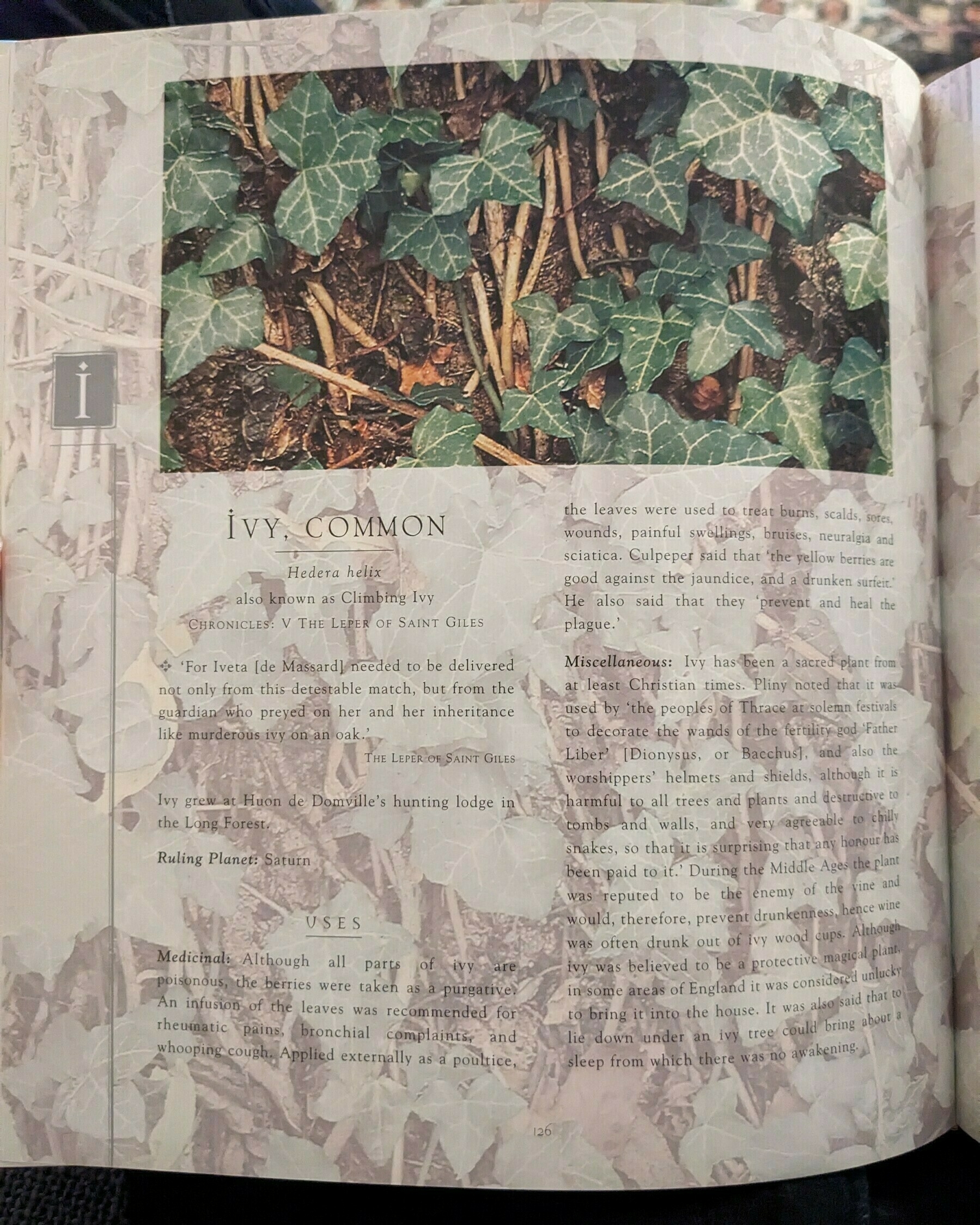 A photo of an open book. The open page is talking about Ivy. There is a colored photo of ivy at the top of the page and lots of information about ivy below it. the whole page has a background image of low opacity ivy, but this makes the text extremely hard to read.