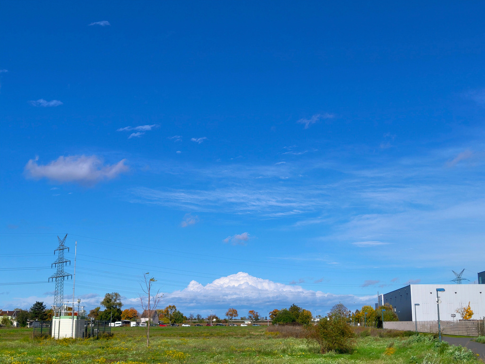 A wide expanse of grassy field is bordered by buildings and trees under a clear blue sky with scattered clouds.