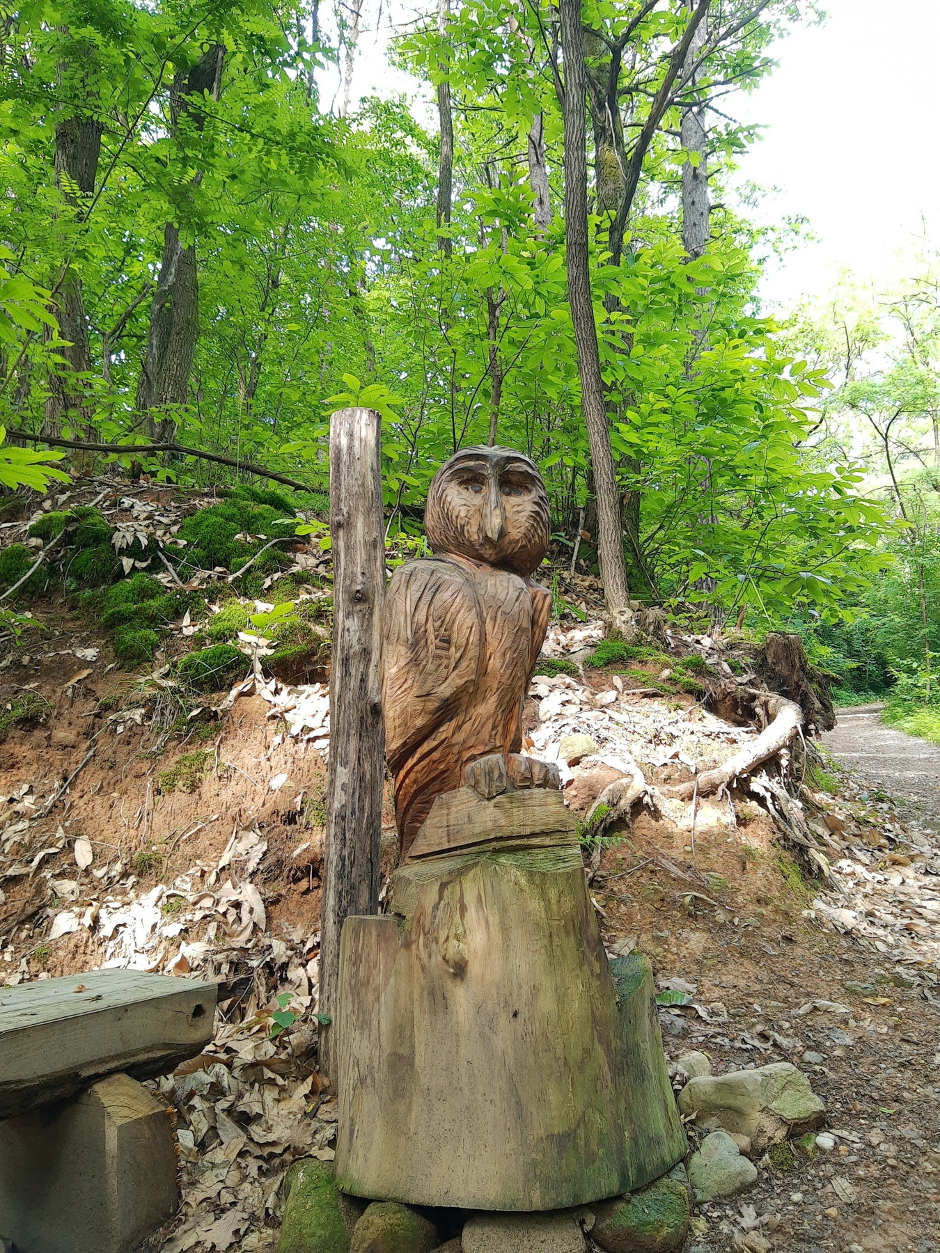 An owl made of wood