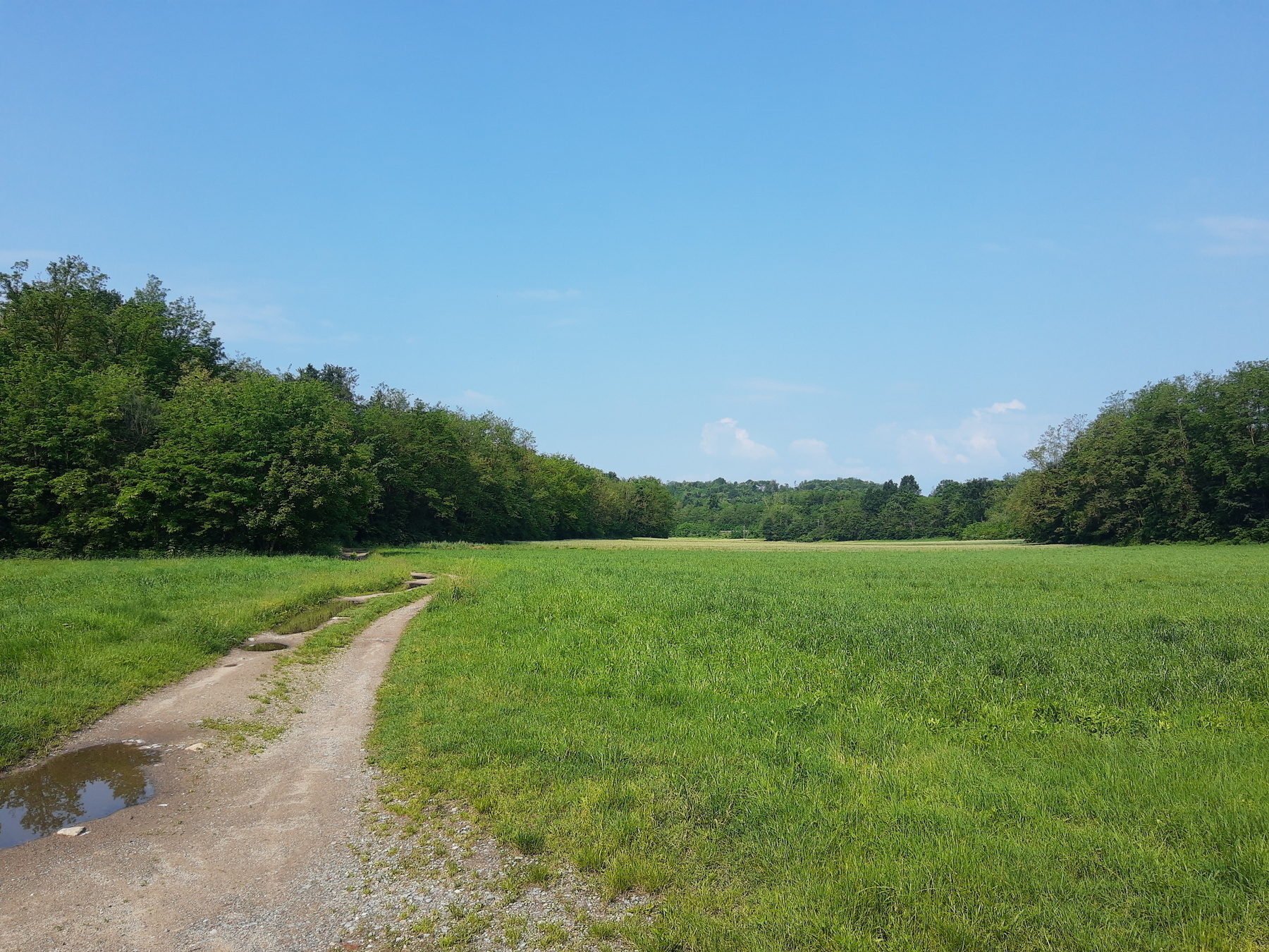 A walking trail near some green fields