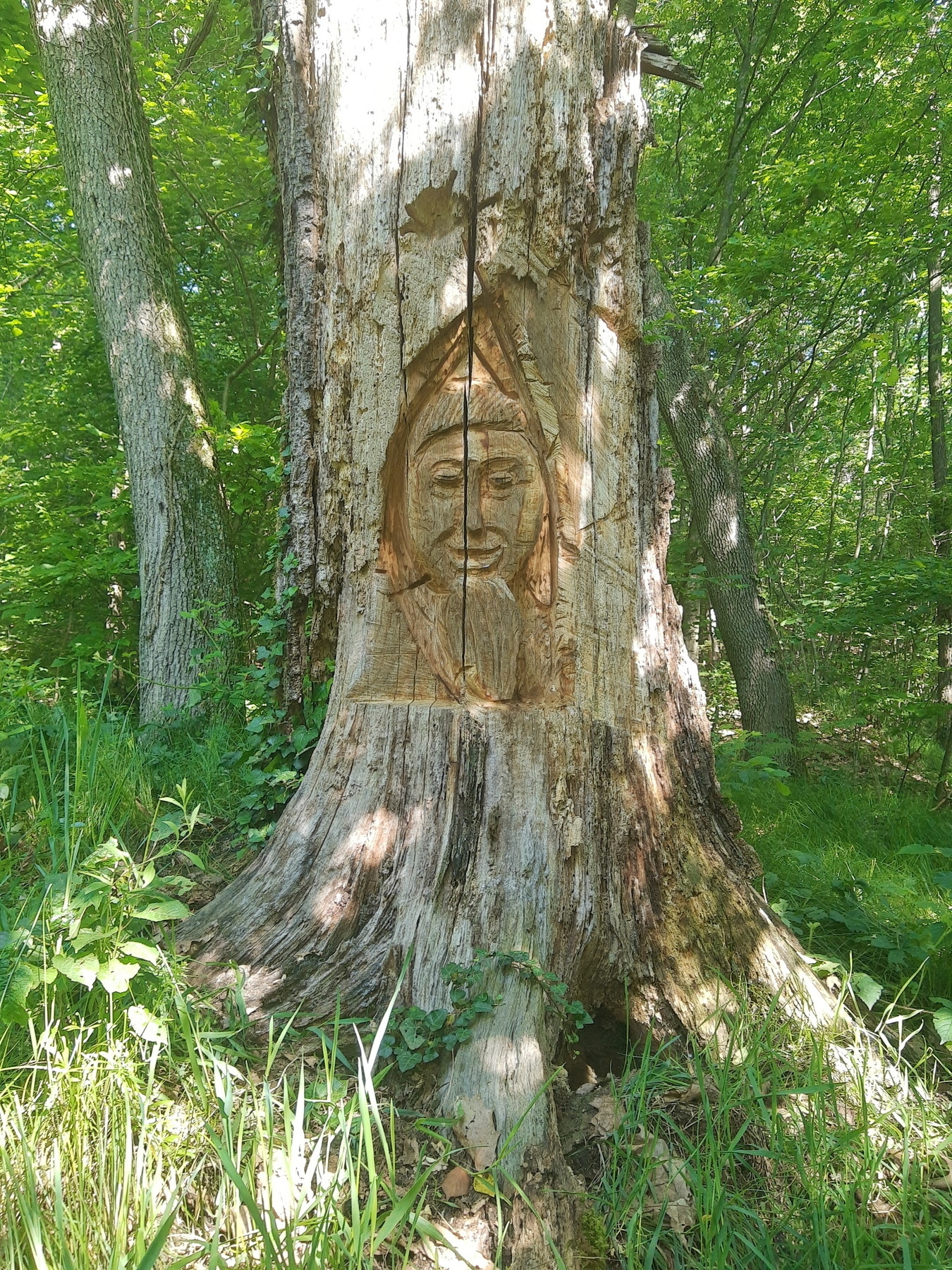 A tree with a sculpture