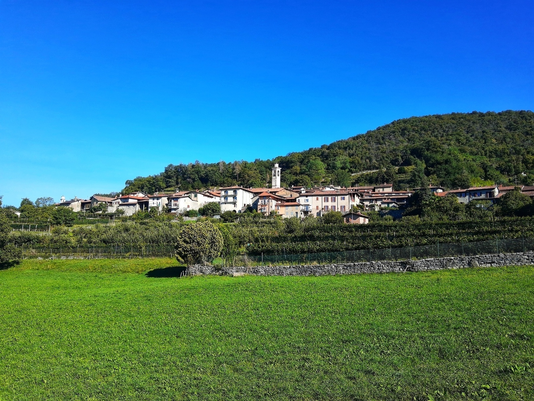 Auto-generated description: A small village is nestled at the base of a tree-covered hill, surrounded by lush green fields under a clear blue sky.