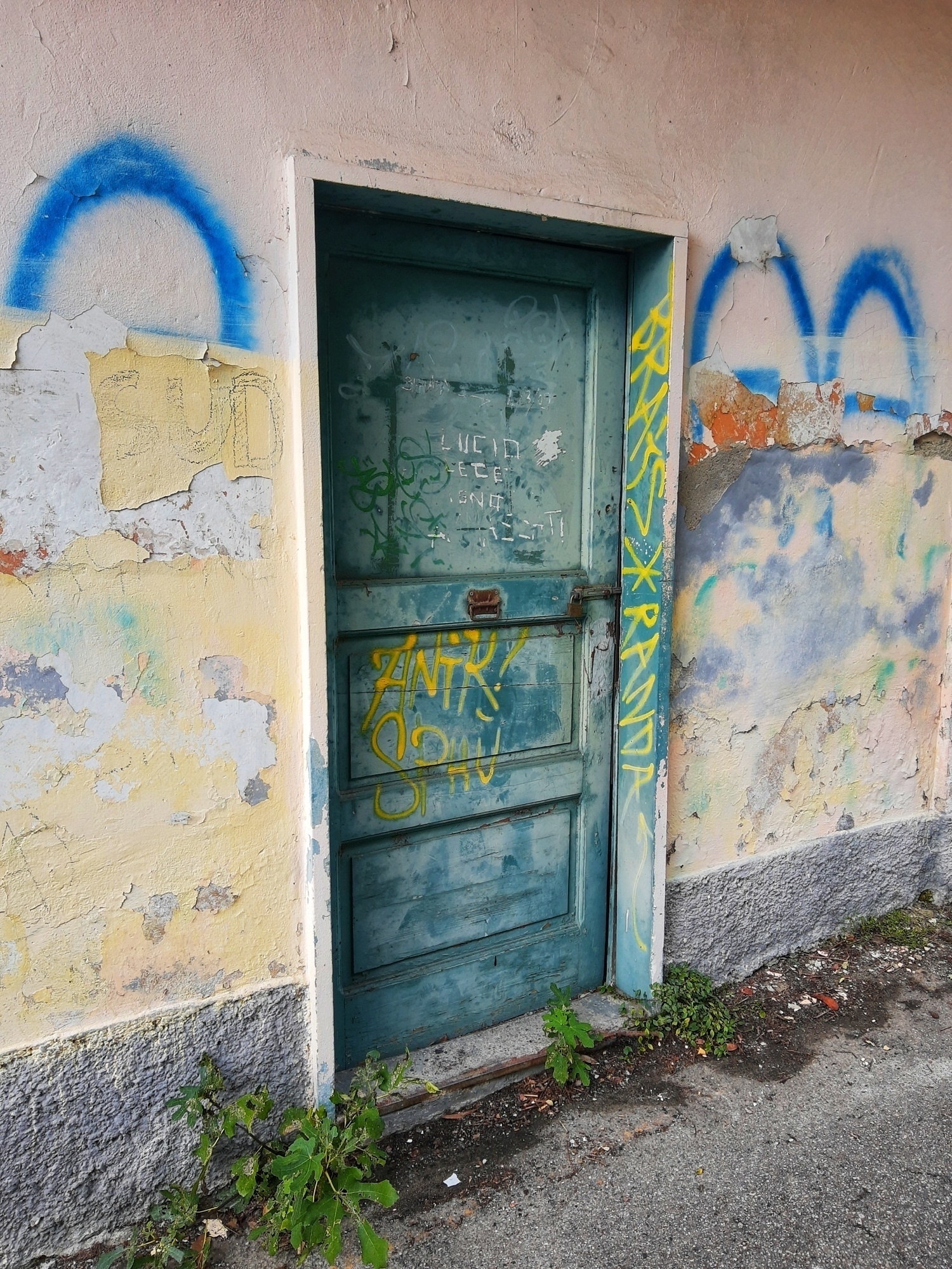 Auto-generated description: A weathered blue door with graffiti is set in a cracked and peeling wall, flanked by plants growing at its base.