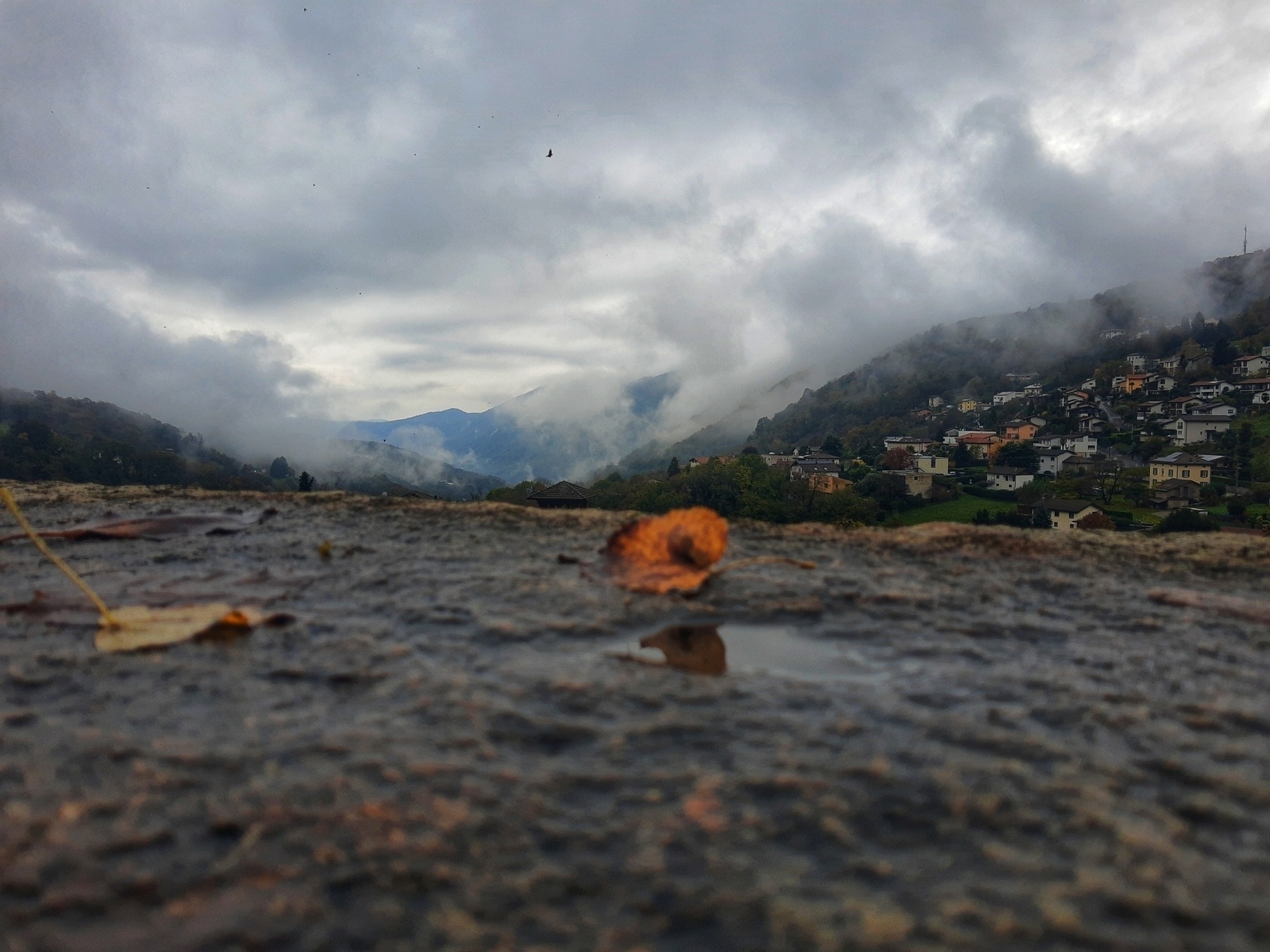 Auto-generated description: A single leaf rests on a wet surface, with a foggy mountainous landscape and scattered village houses in the background.