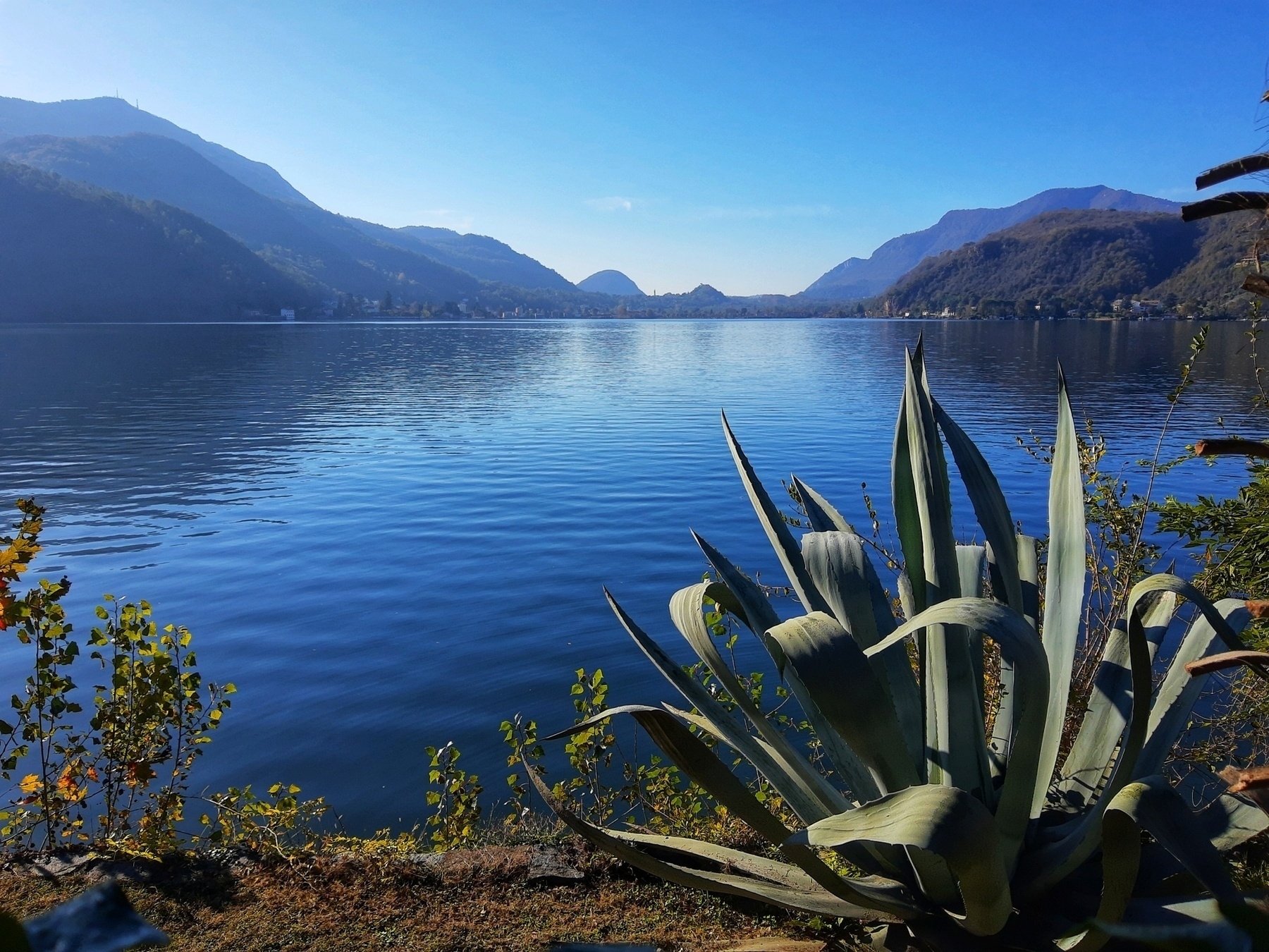 Auto-generated description: A serene lake is surrounded by mountains under a clear blue sky, with a large agave plant in the foreground.