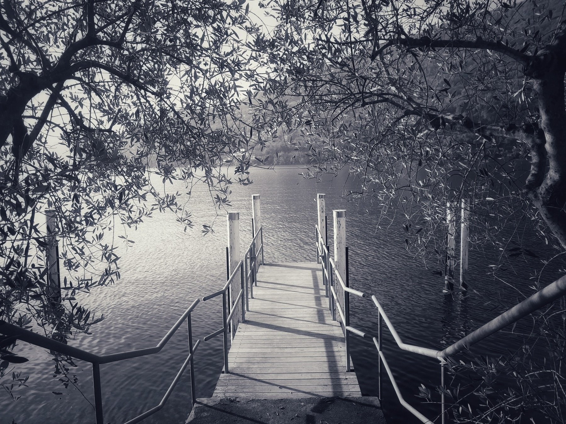 Auto-generated description: A wooden pier extends into a calm body of water, framed by overhanging tree branches.