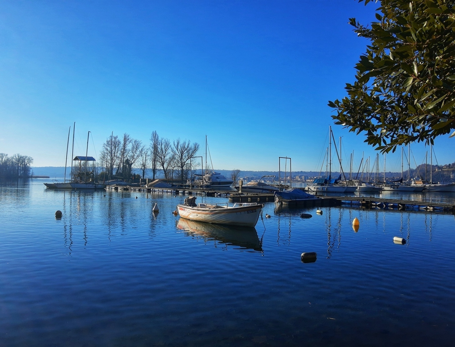 Auto-generated description: A serene harbor scene with boats moored on calm water, surrounded by clear blue skies and distant trees.