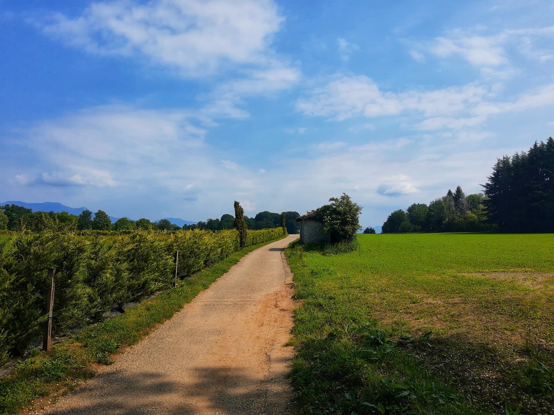 Sentiero in terra battuta in mezzo al verde che sembra condurre verso il cielo, o forse da nessuna parte