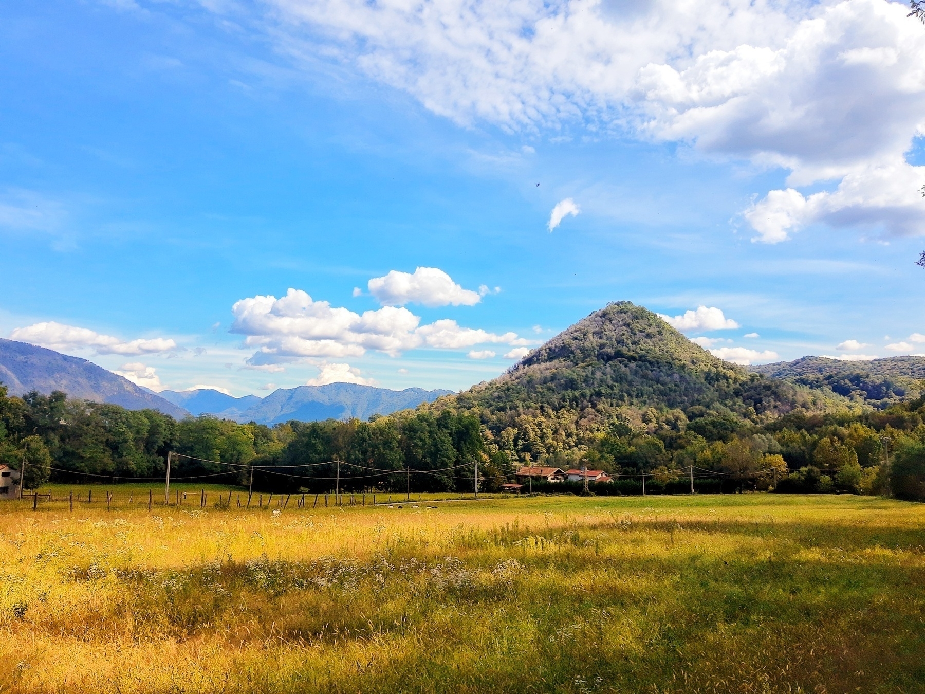 Auto-generated description: A picturesque landscape features a grassy field leading to a forested hill under a bright blue sky with scattered clouds.