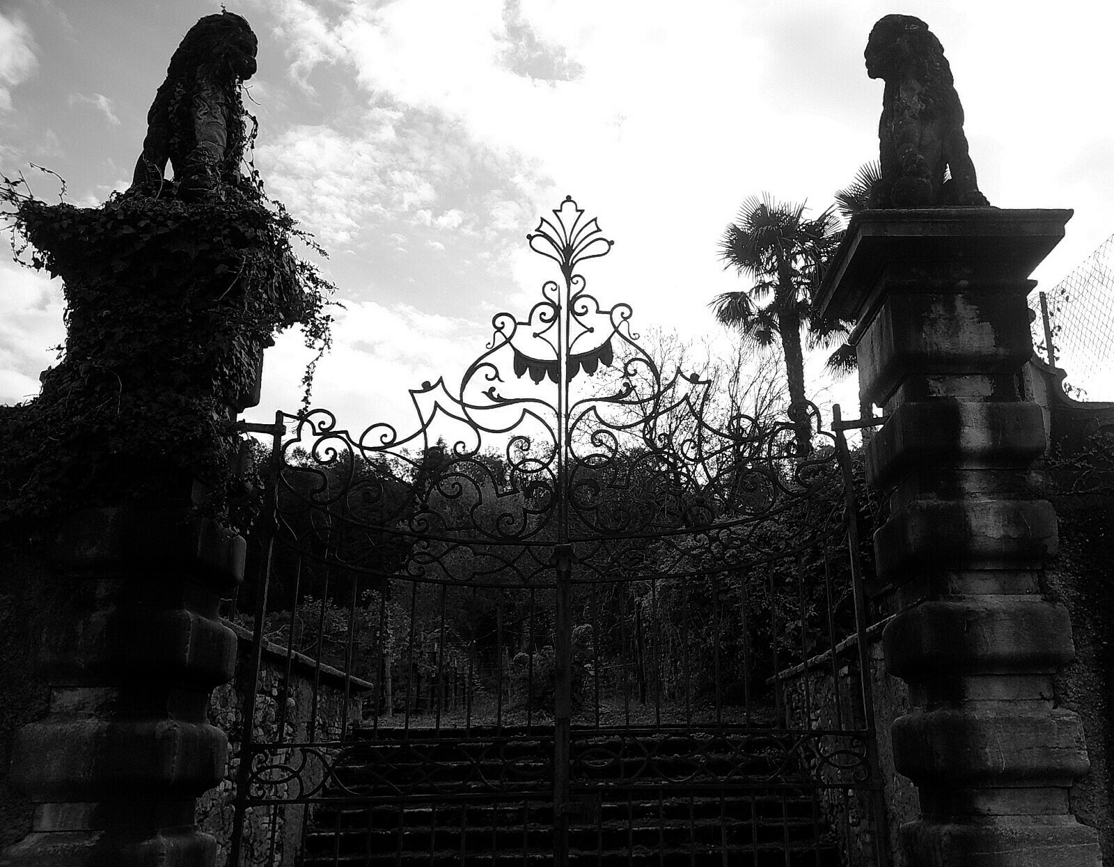 Auto-generated description: Two stone lion statues sit atop pillars flanking an ornate wrought iron gate, with overgrown vines creating a mysterious atmosphere.