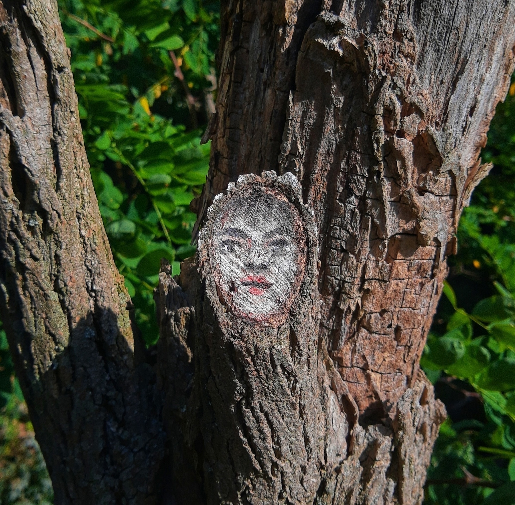 viso di donna dipinto su un ramo d'albero tagliato