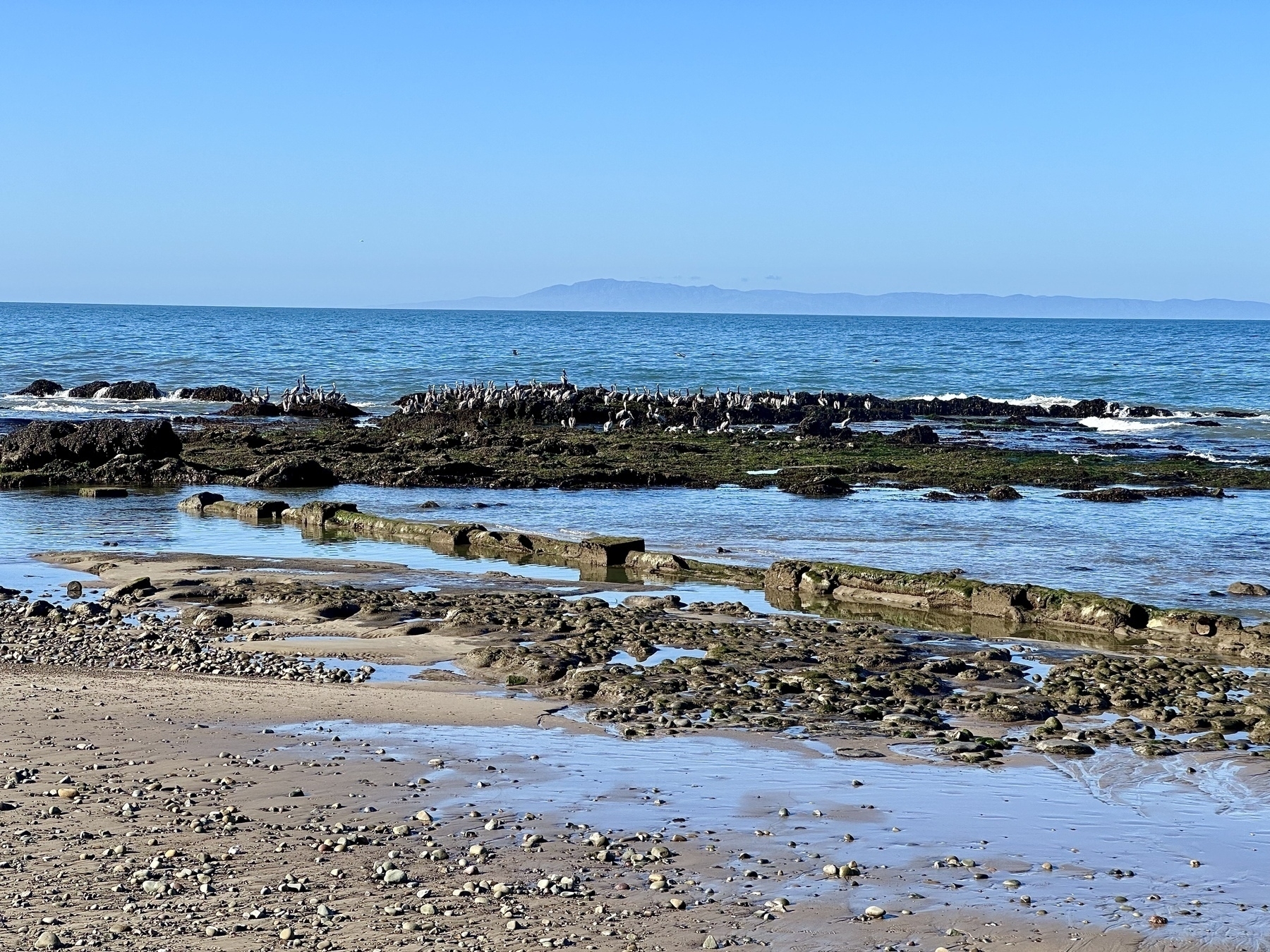A serene beachscape is depicted with a rocky shoreline in the foreground, calm blue waters, and a mountainous landform on the horizon under a clear sky.