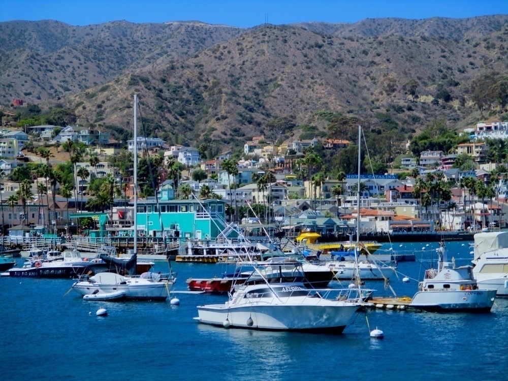 Boats anchord in Catalina harbor.