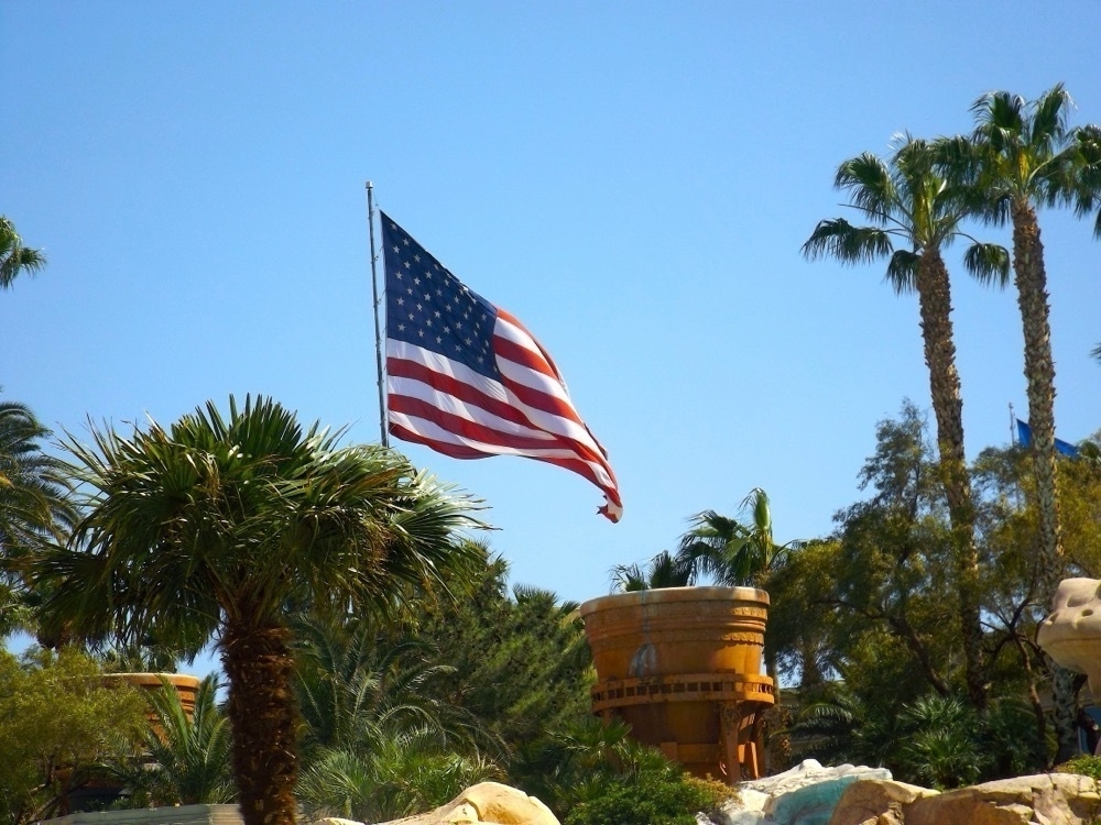 An American flag, blowing in the wind, surrounded by palm trees