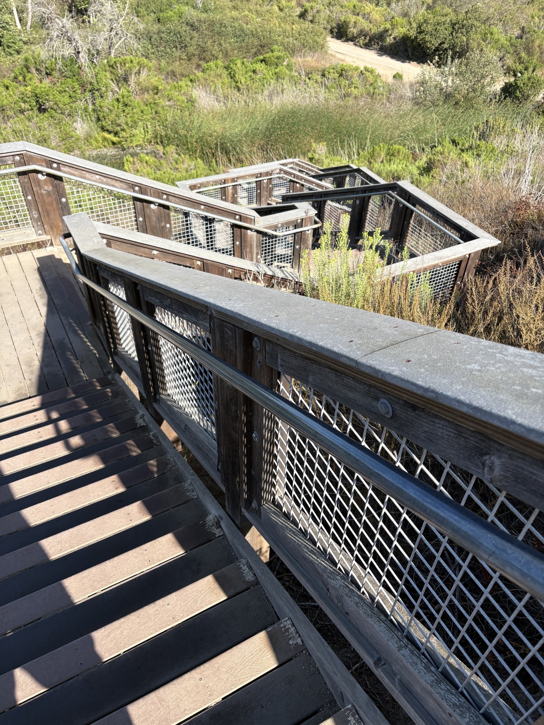 IMG_6283.jpeg A wooden staircase with metal railings leads down through a natural, green landscape.