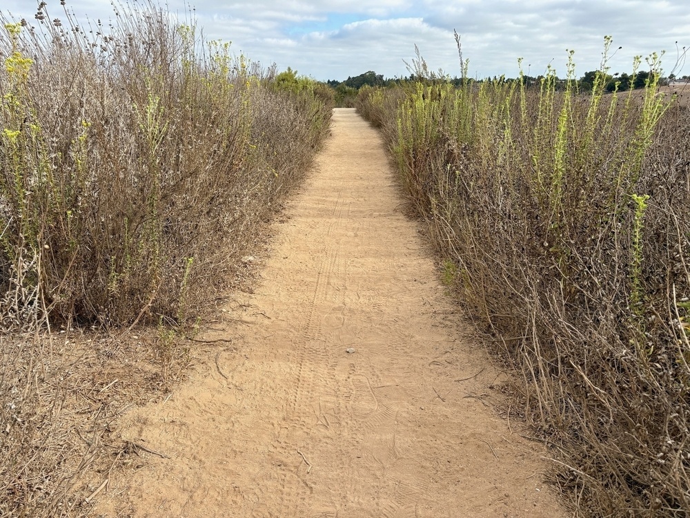 A dirt path stretches through dry, grassy vegetation under a cloudy sky.
